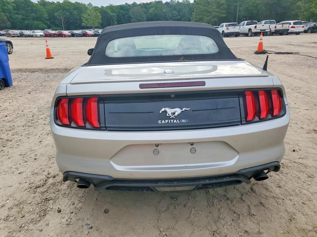 2019 Ford Mustang - Фото 6