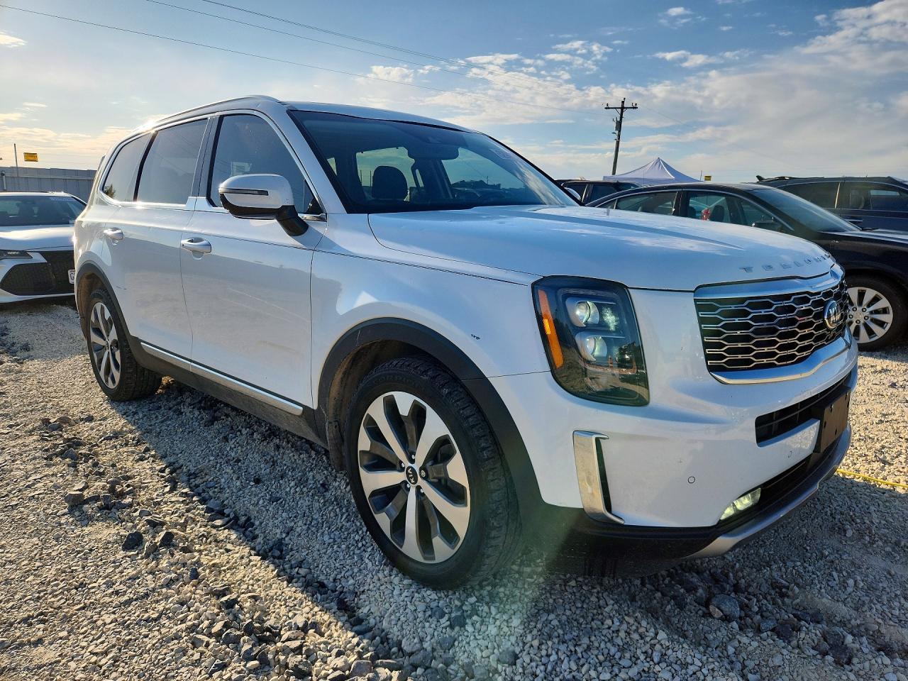 2020 Kia Telluride Sx - Фото 4