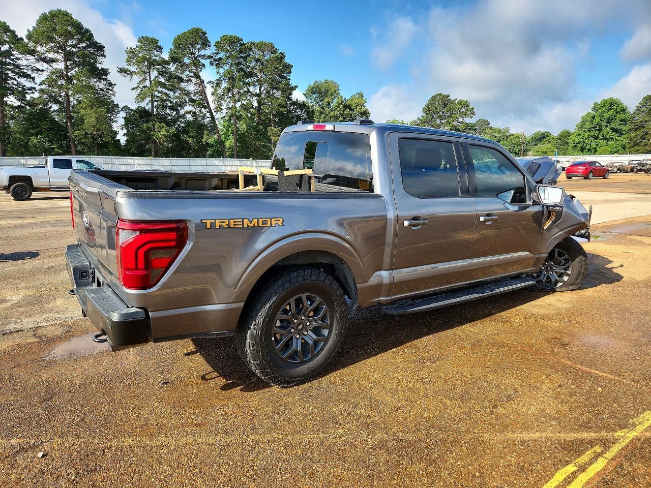 2025 Ford F150 Tremor - Фото 3