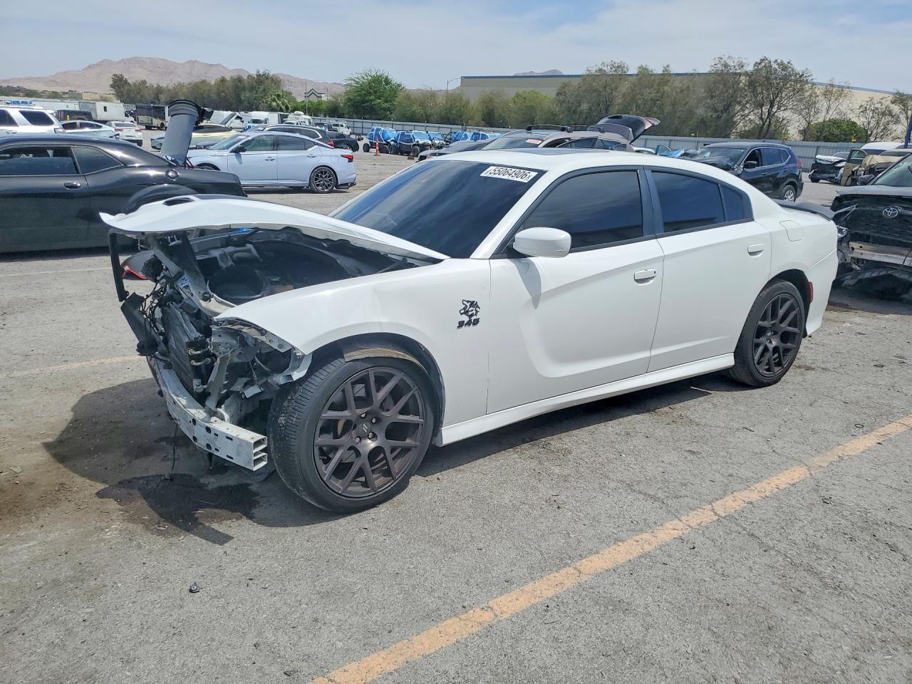 2017 Dodge Charger R/T