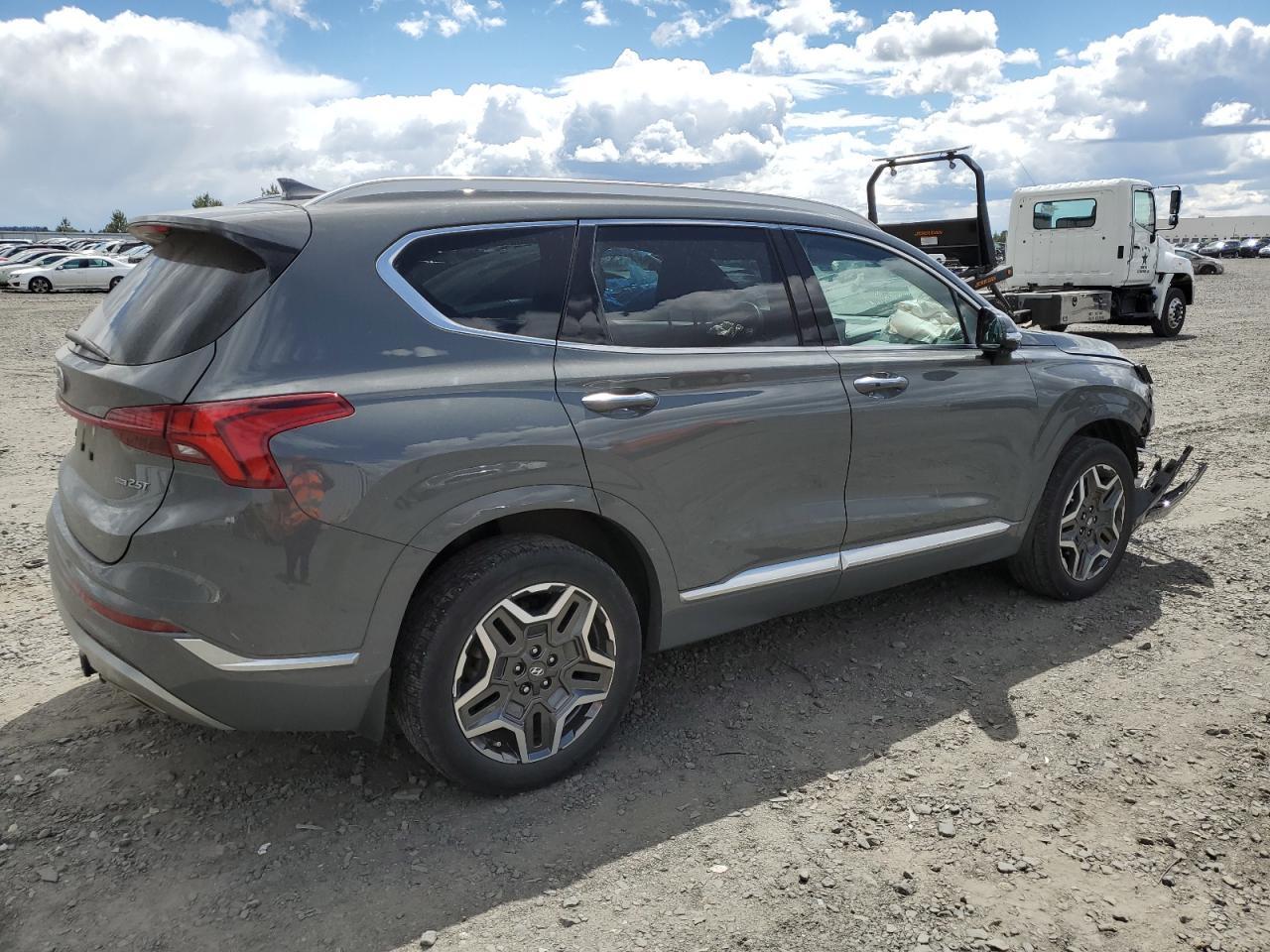 2021 Hyundai Santa Fe Calligraphy - Фото 3