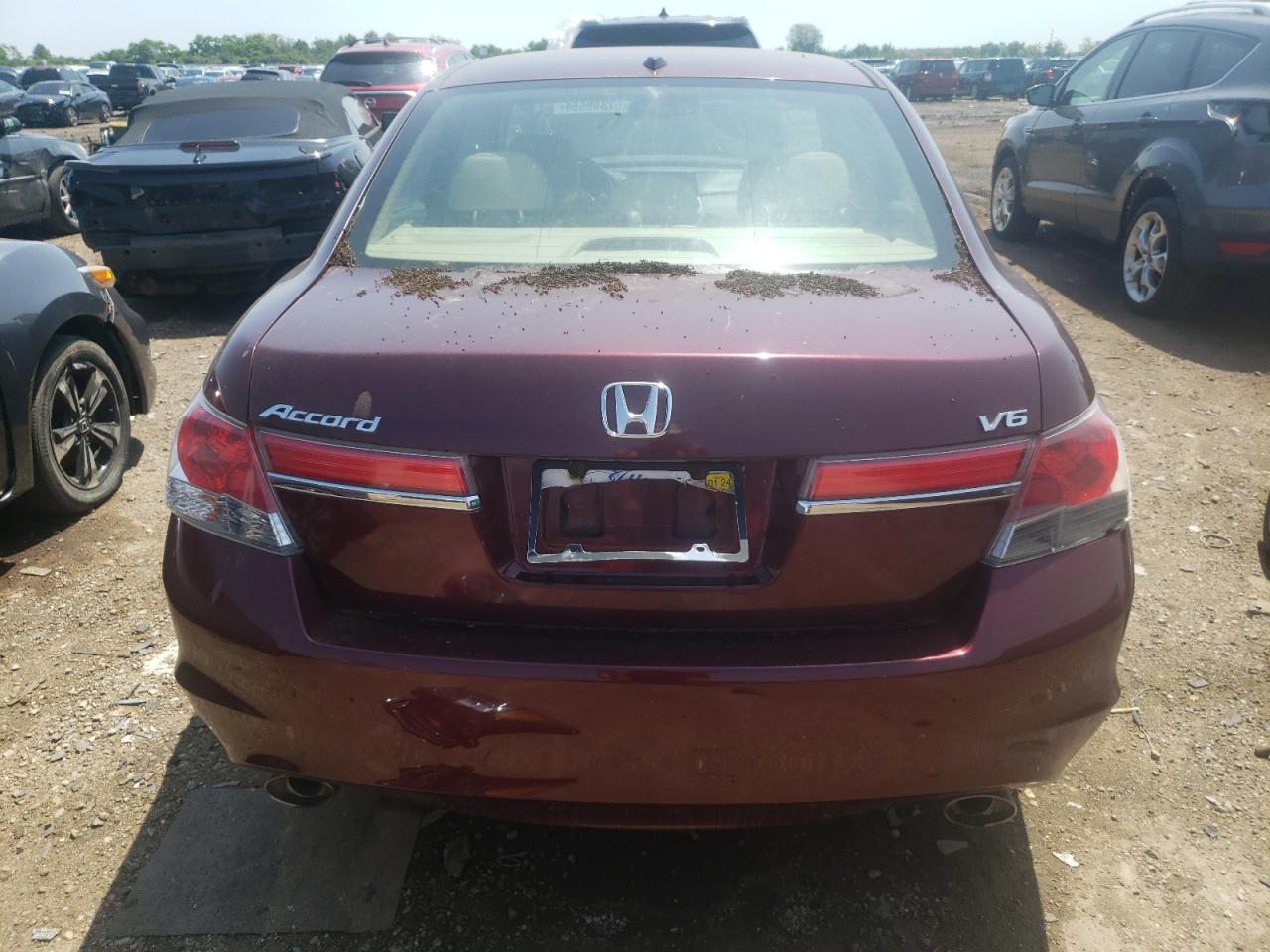2012 Honda Accord Exl - Image 6