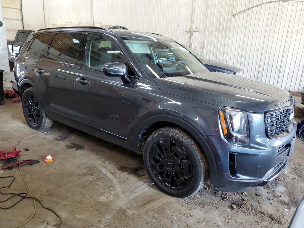 2022 Kia Telluride Sx - Фото 4