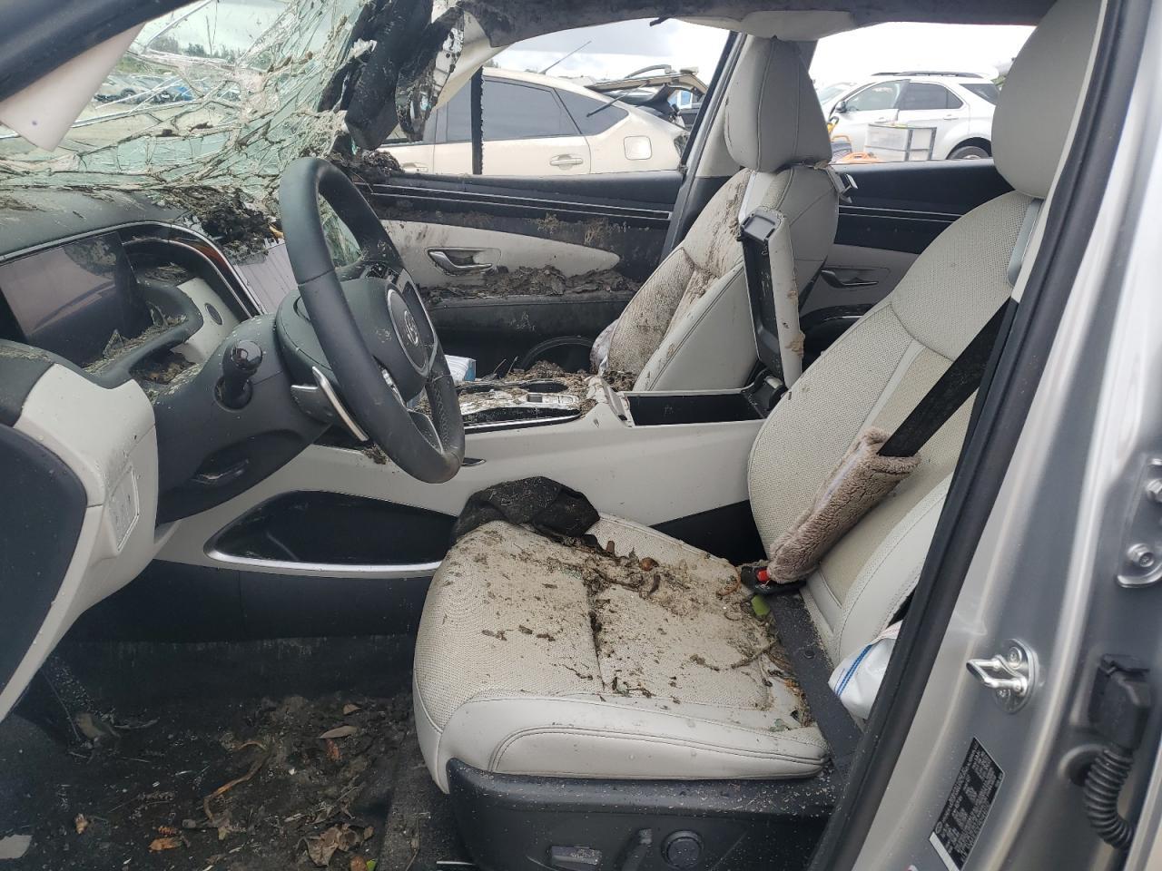 2024 Hyundai Tucson Limited - Фото 7