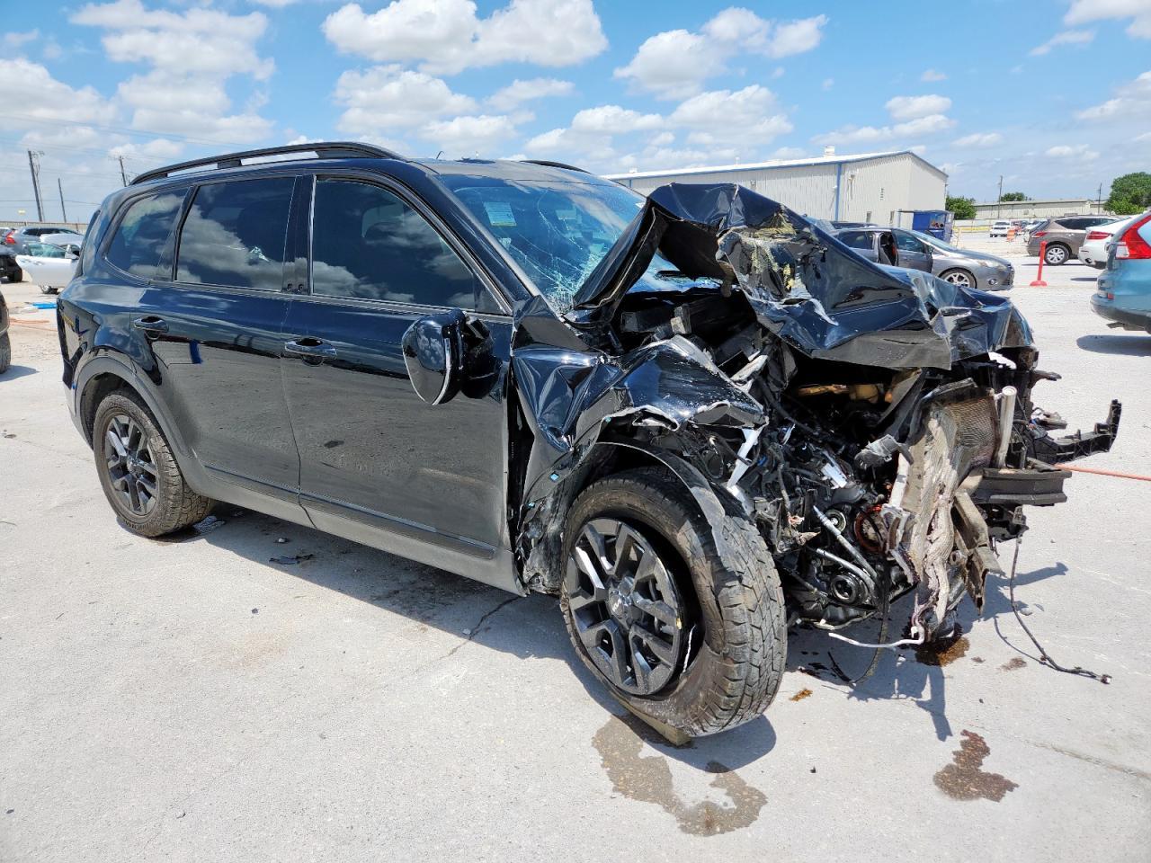 2024 Kia Telluride Sx - Фото 4