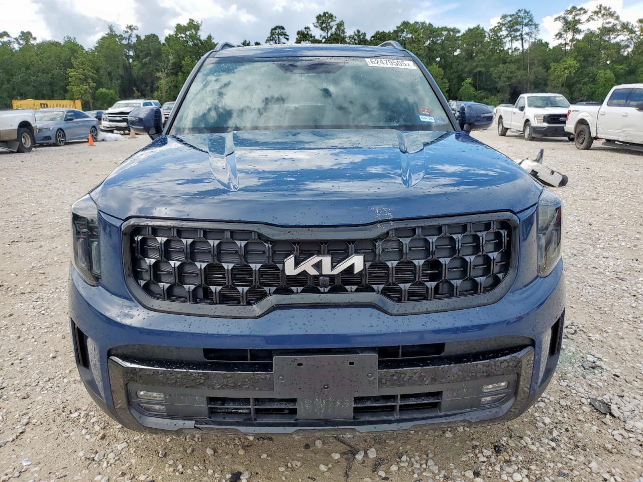 2024 Kia Telluride Sx - Image 5
