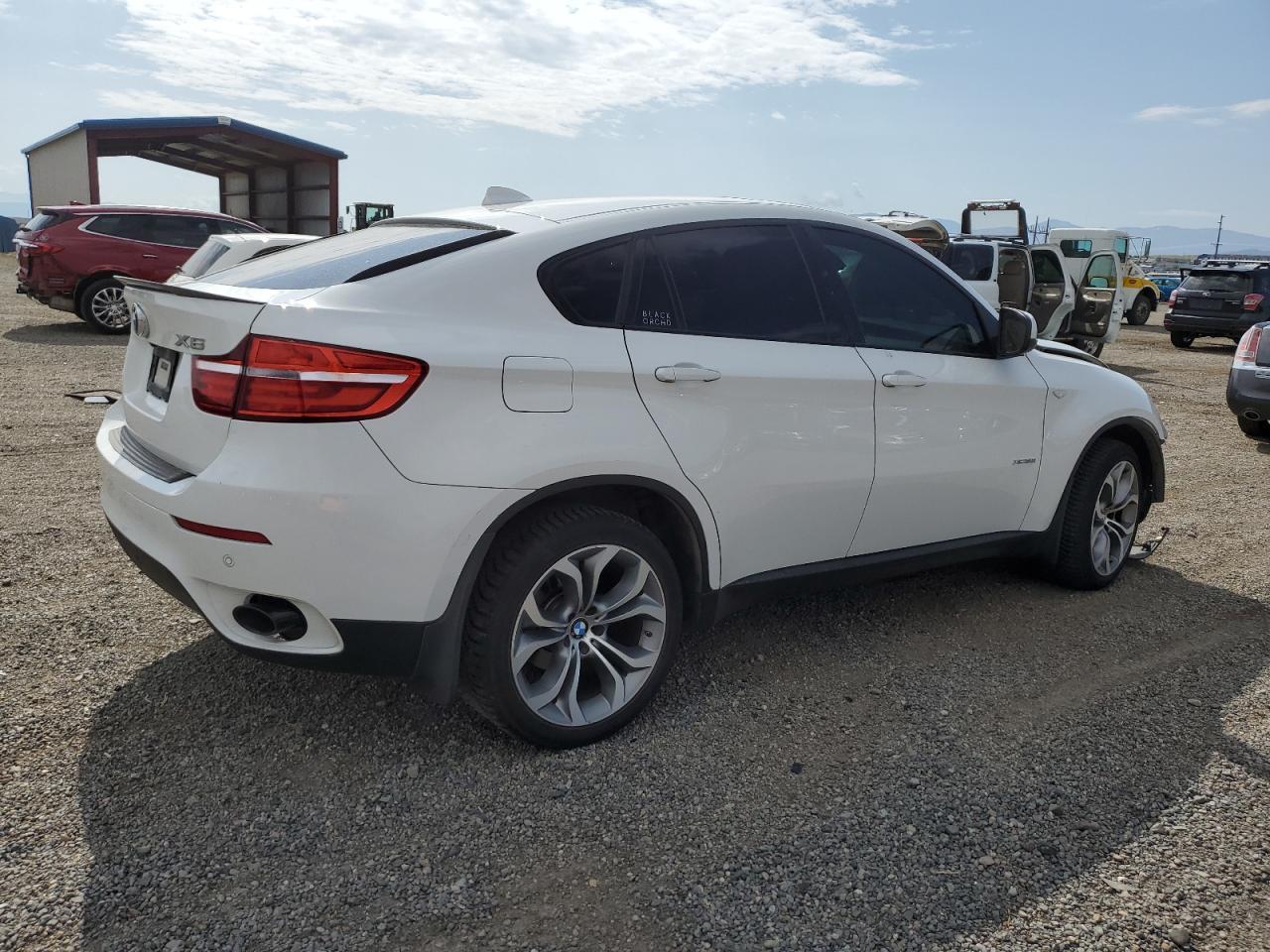 2013 BMW X6 xDrive35I - Фото 3