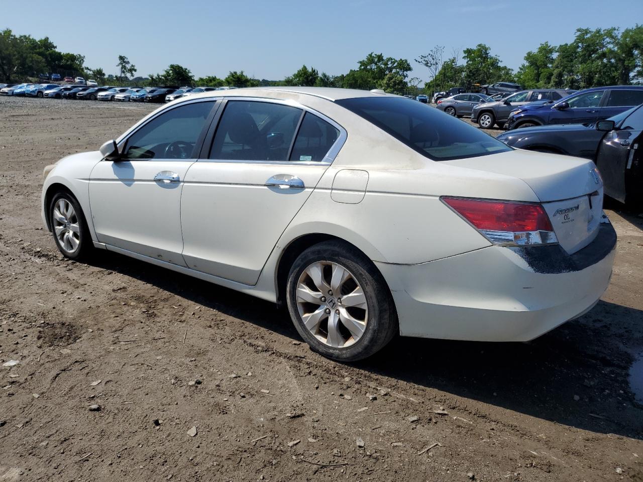 2009 Honda Accord Exl - Фото 2