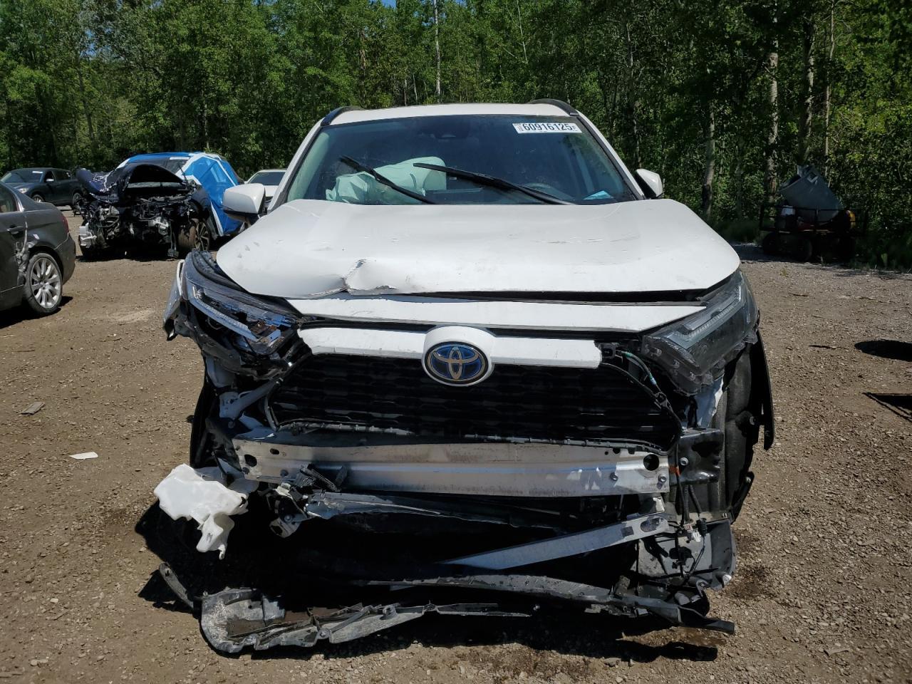 2023 Toyota Rav4 Xle - Image 5