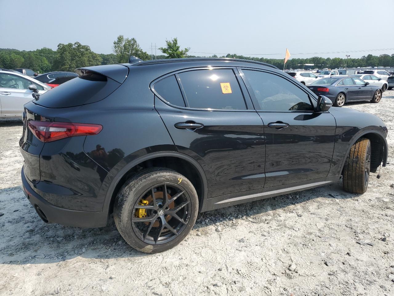 2019 Alfa Romeo Stelvio Ti - Фото 3