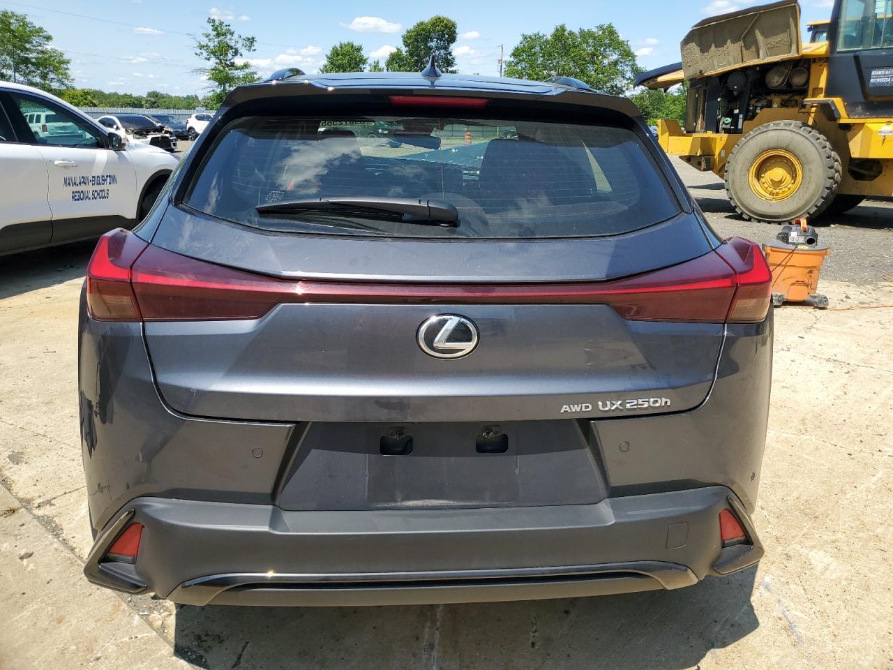 2024 Lexus Ux 250H Premium - Фото 6