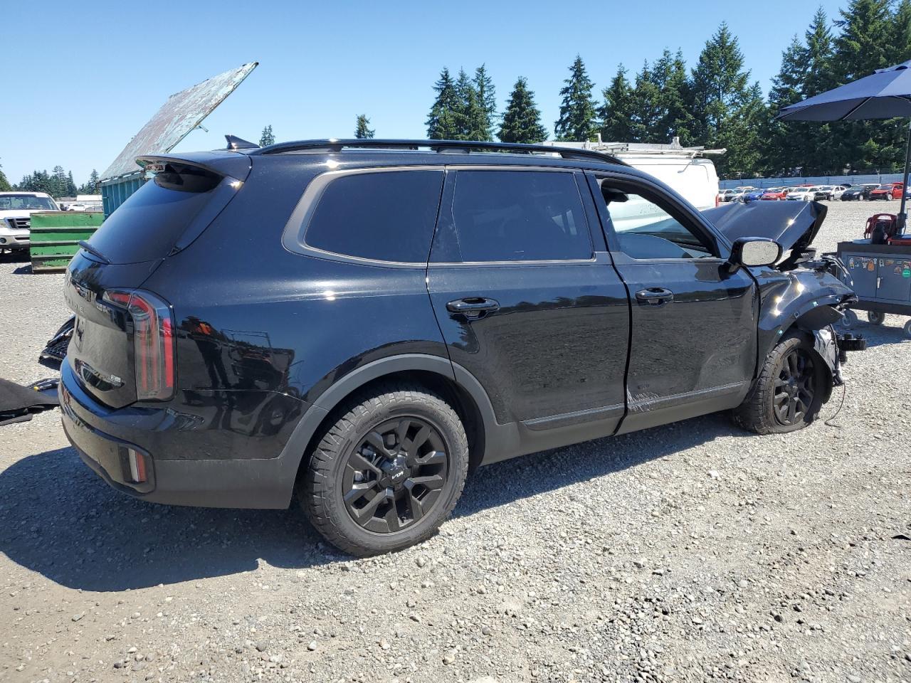 2024 Kia Telluride Sx - Фото 3