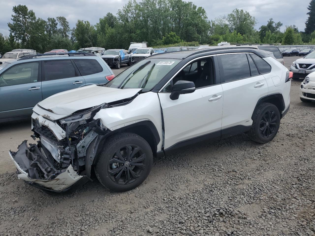 2024 Toyota Rav4 Xse