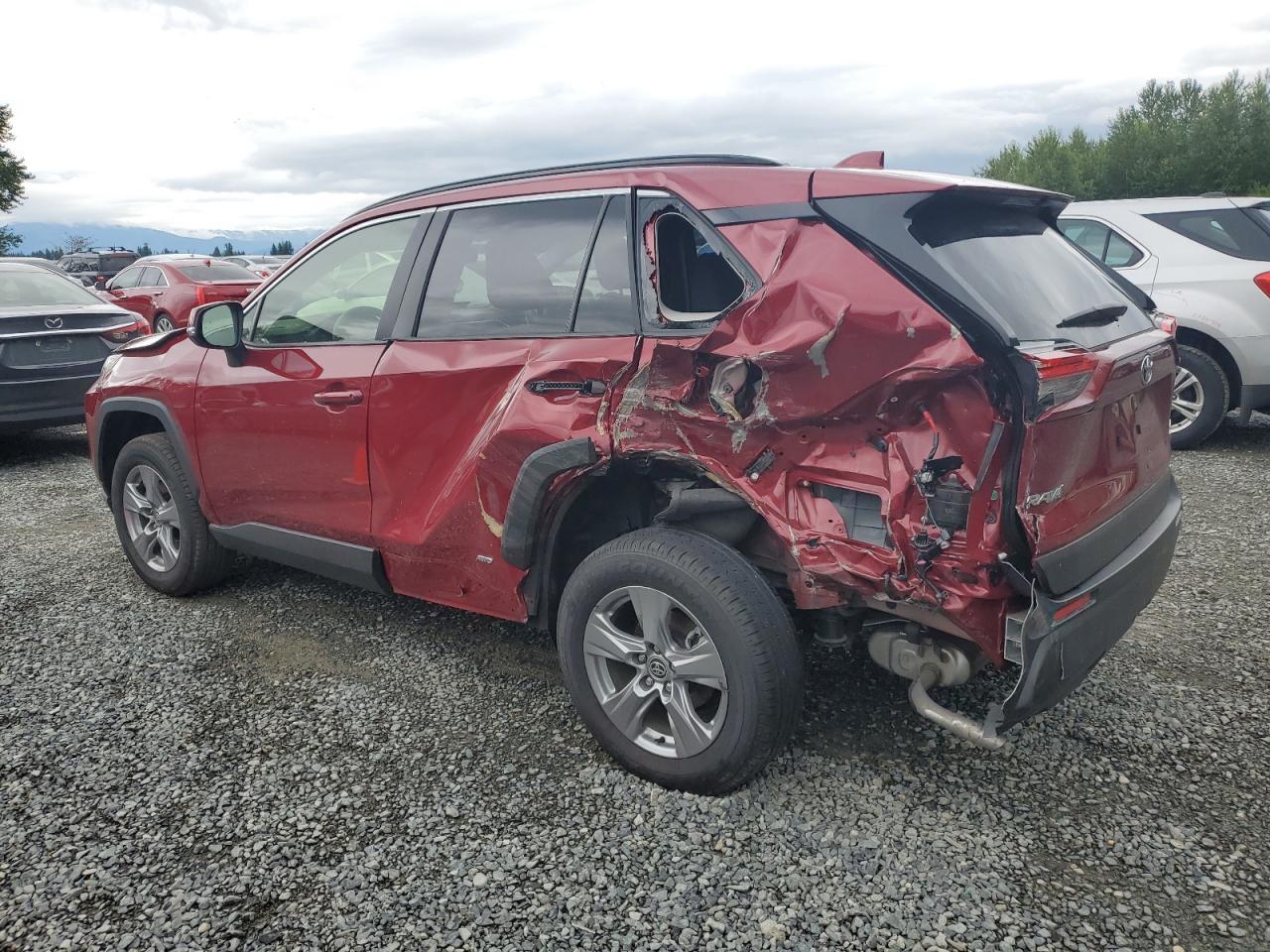 2024 Toyota Rav4 Le - Image 2