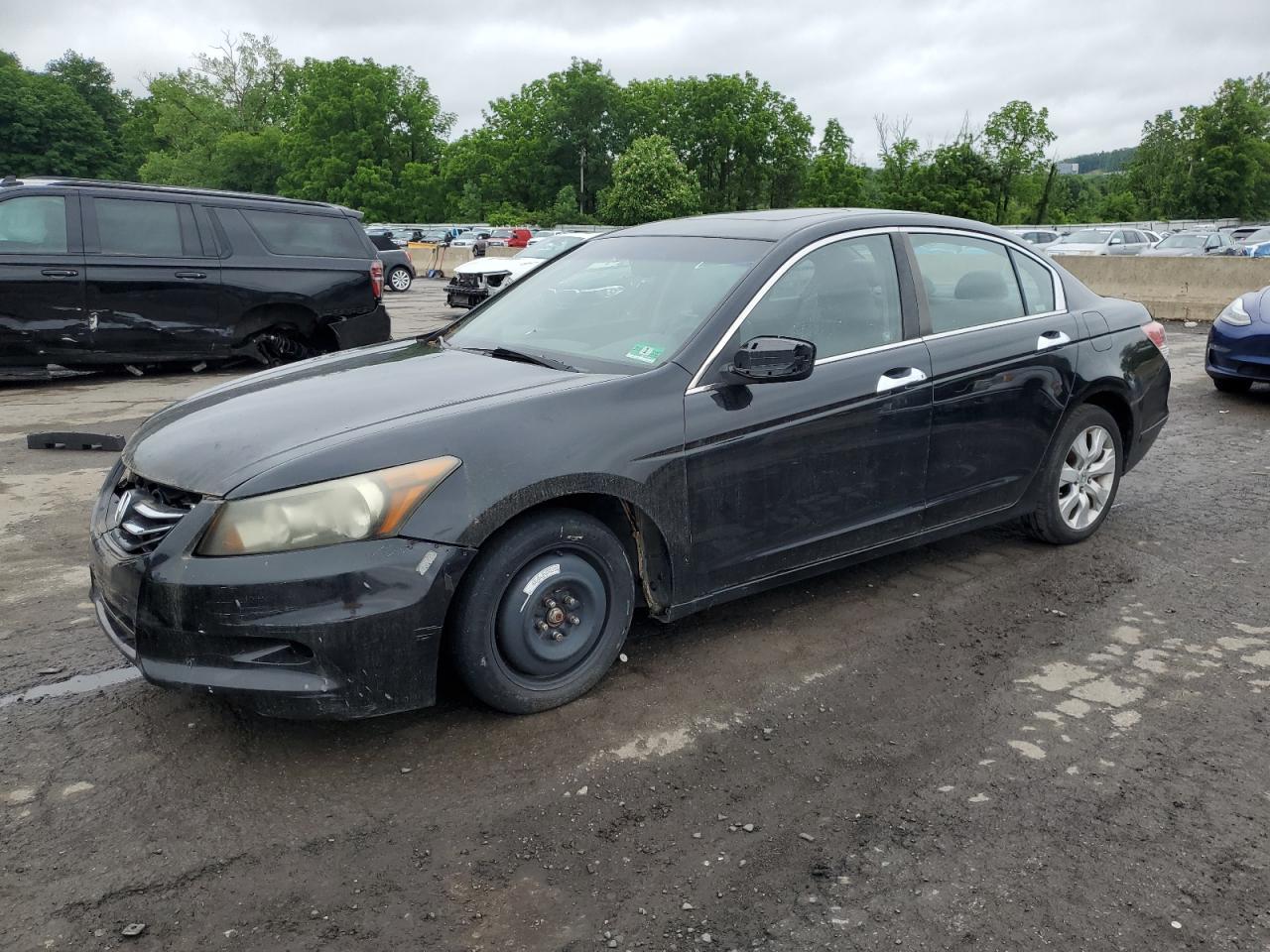 2008 Honda Accord Exl
