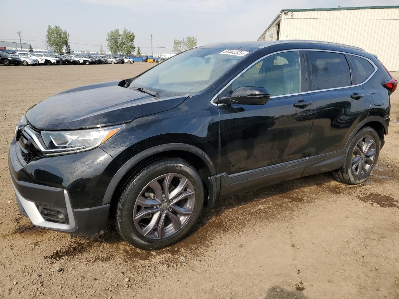 2021 Honda Cr-V Sport