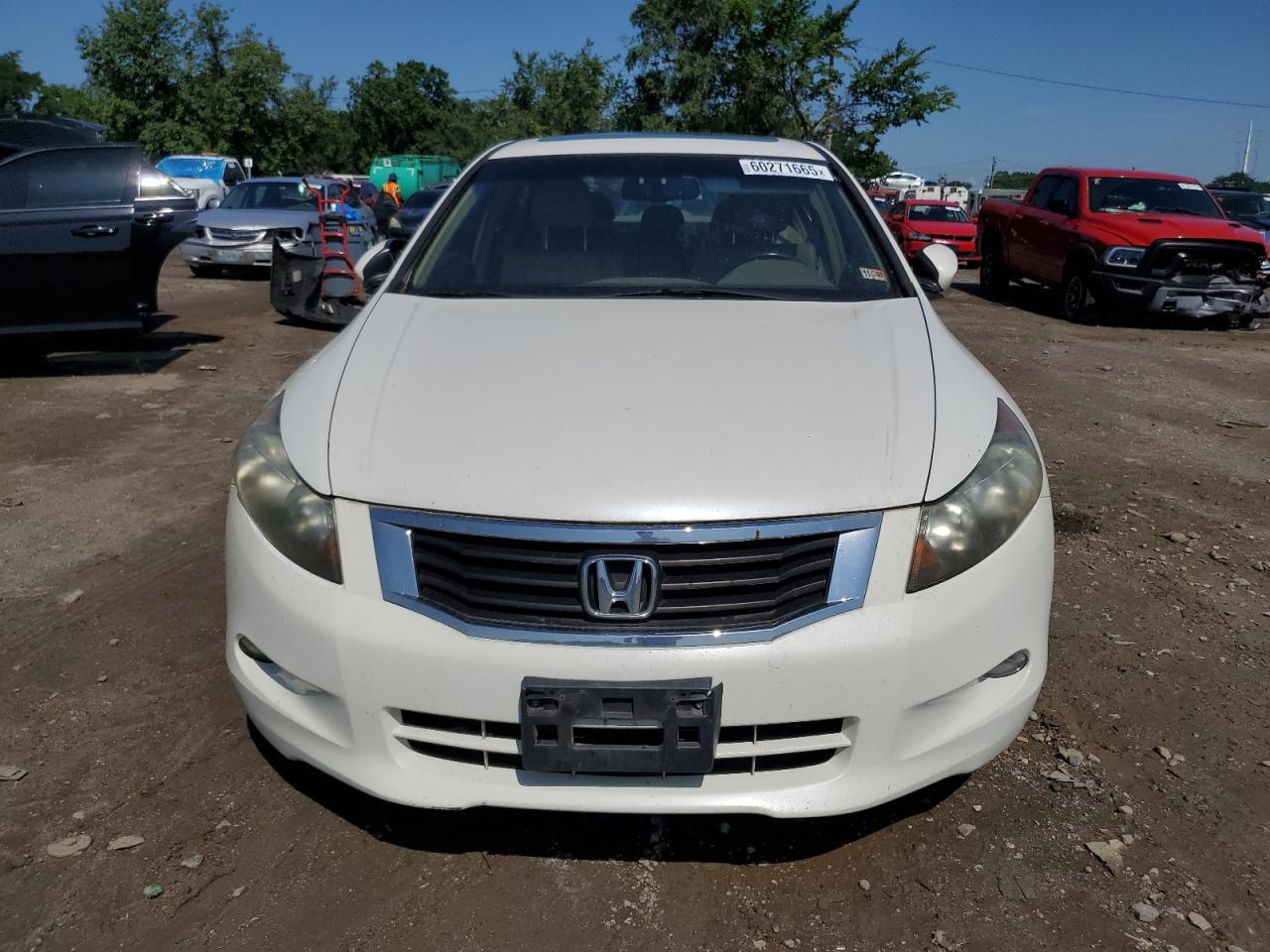 2009 Honda Accord Exl - Фото 5