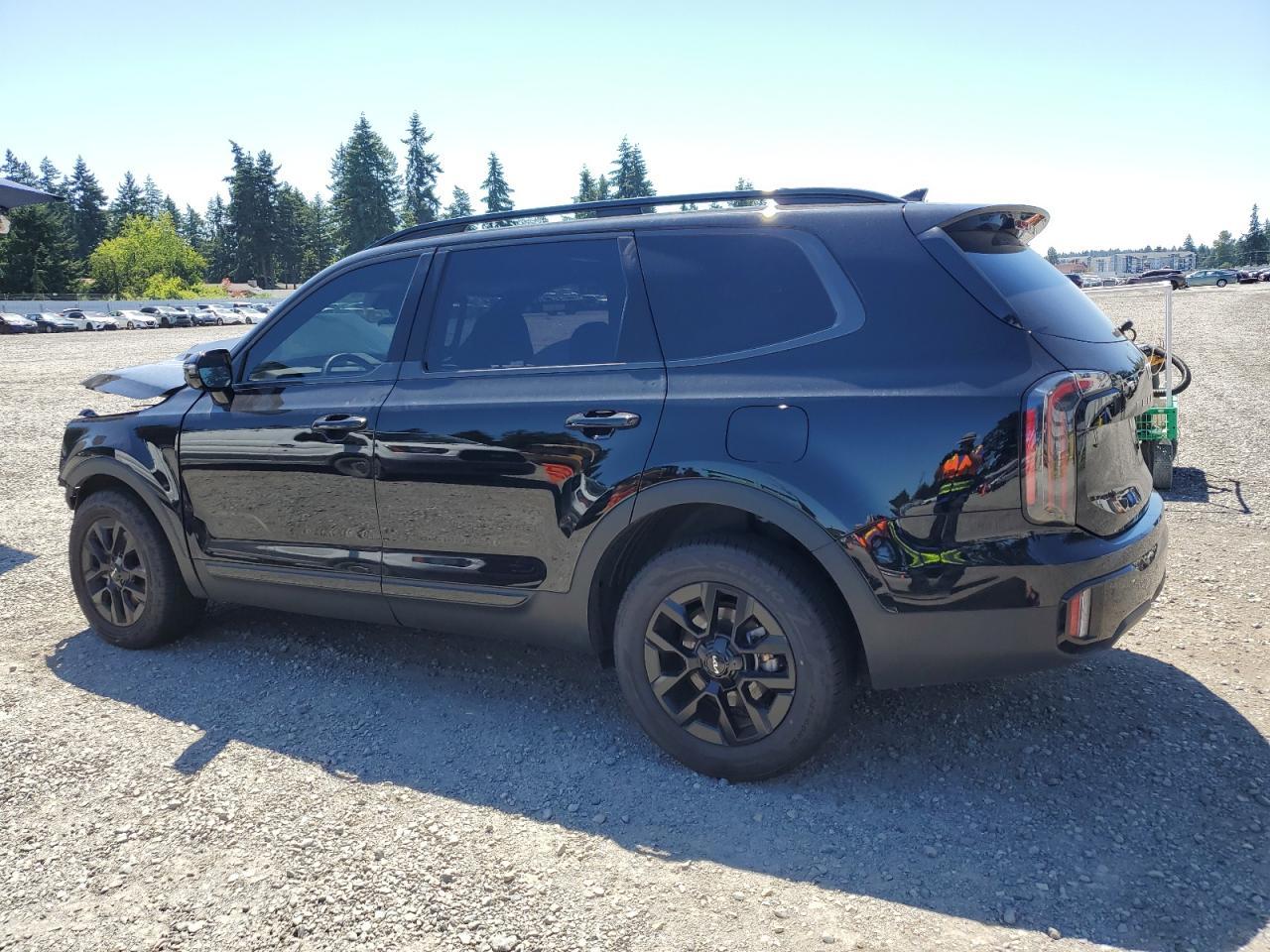 2024 Kia Telluride Sx - Фото 2