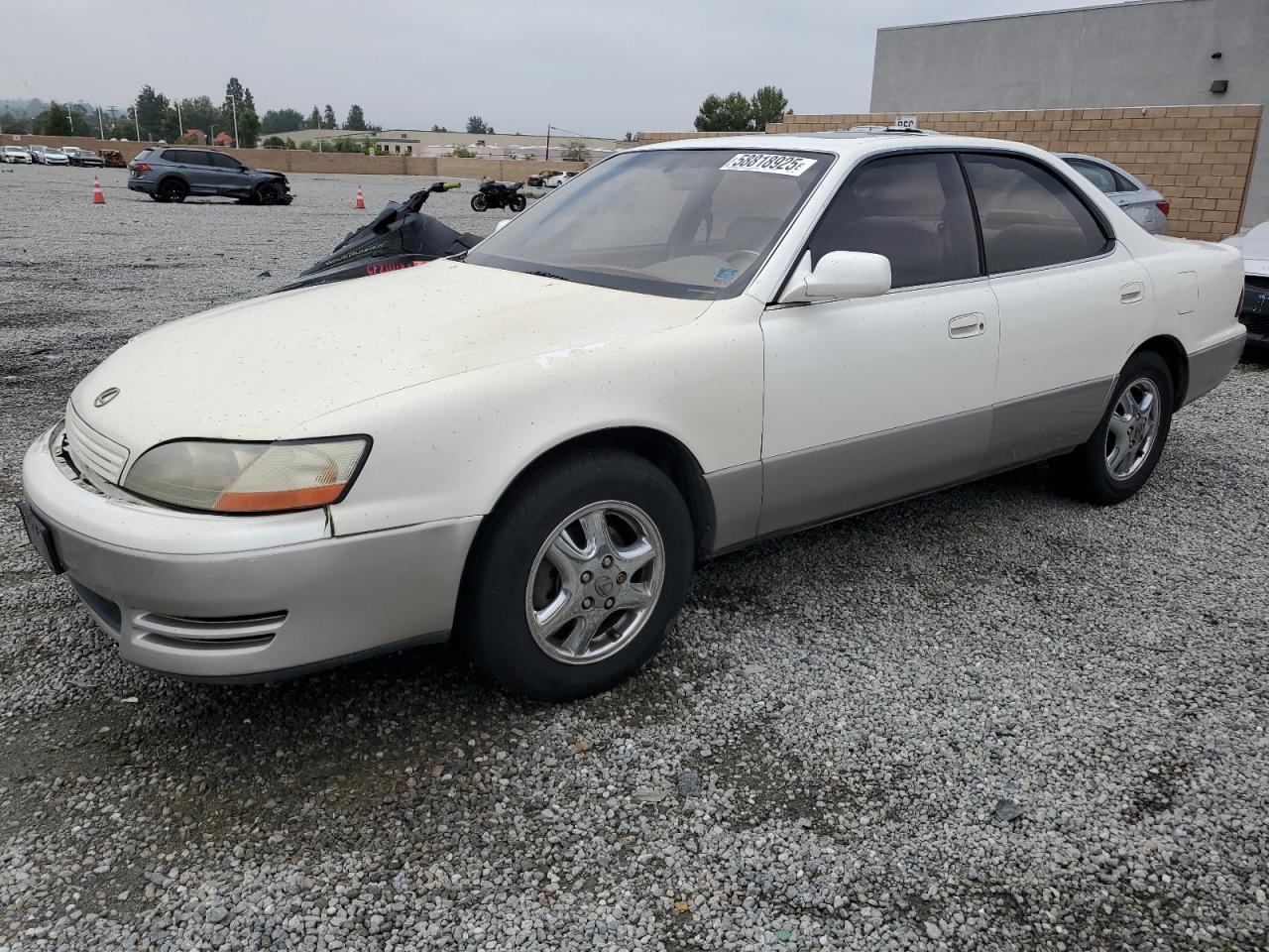 lot