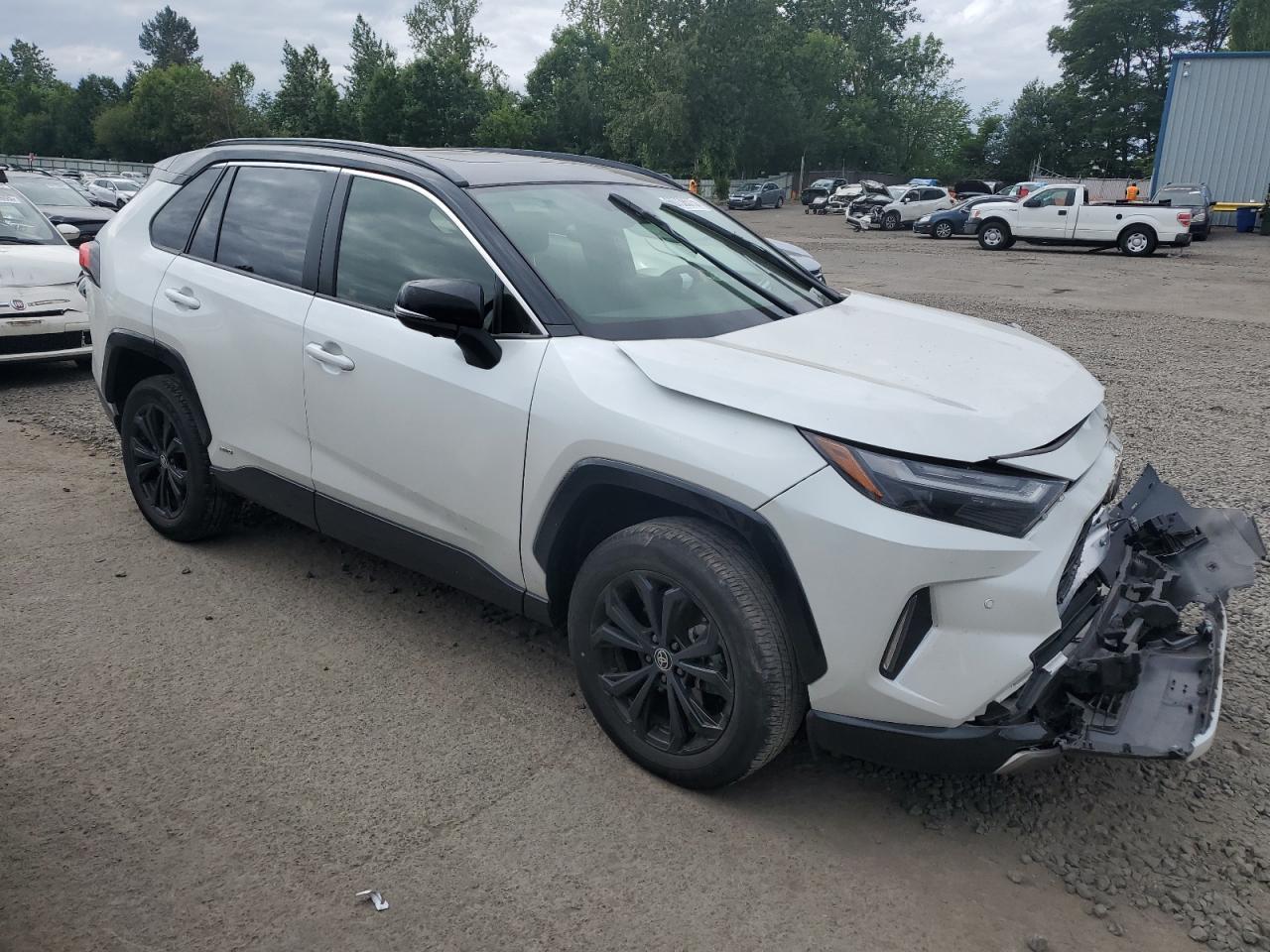 2024 Toyota Rav4 Xse - Image 4