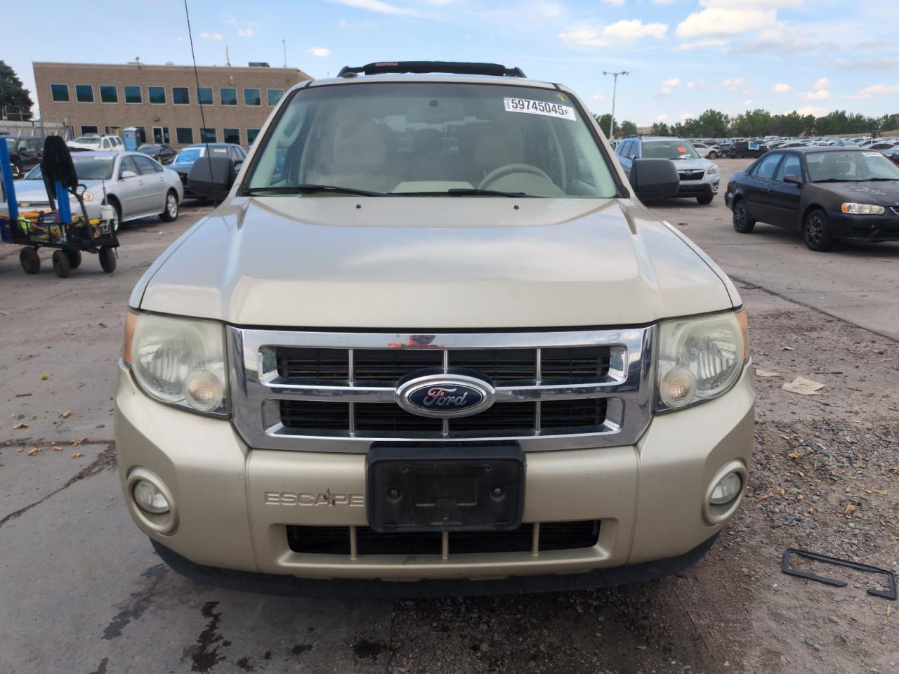 2010 Ford Escape Xlt - Фото 5