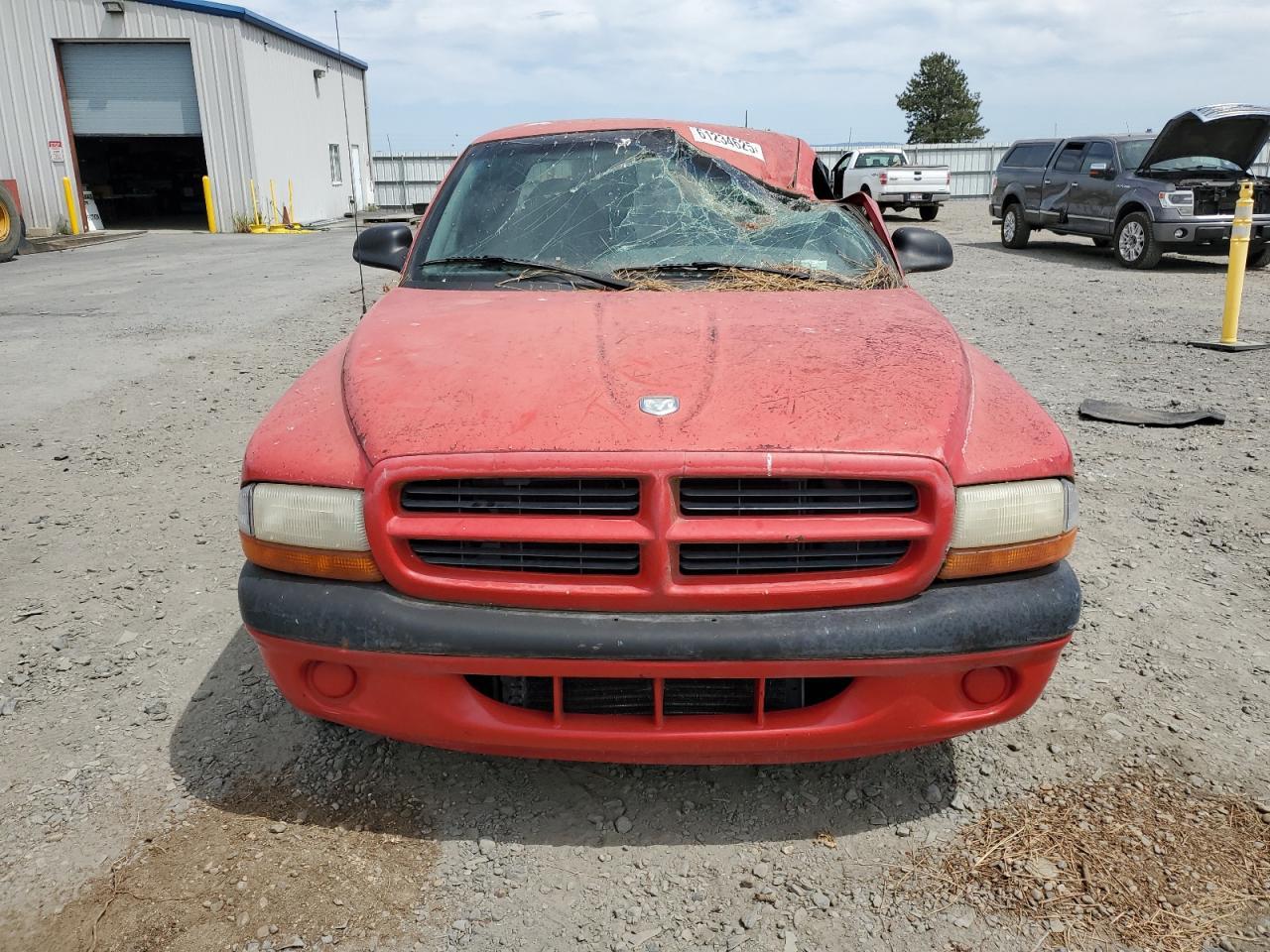 1998 Dodge Dakota - Фото 5