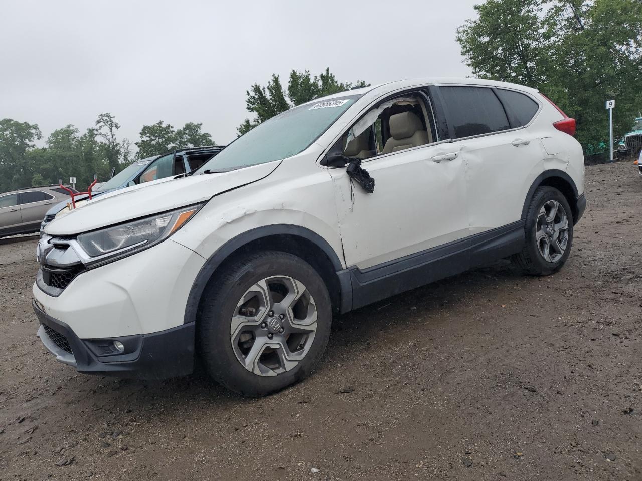 2019 Honda Cr-V Exl