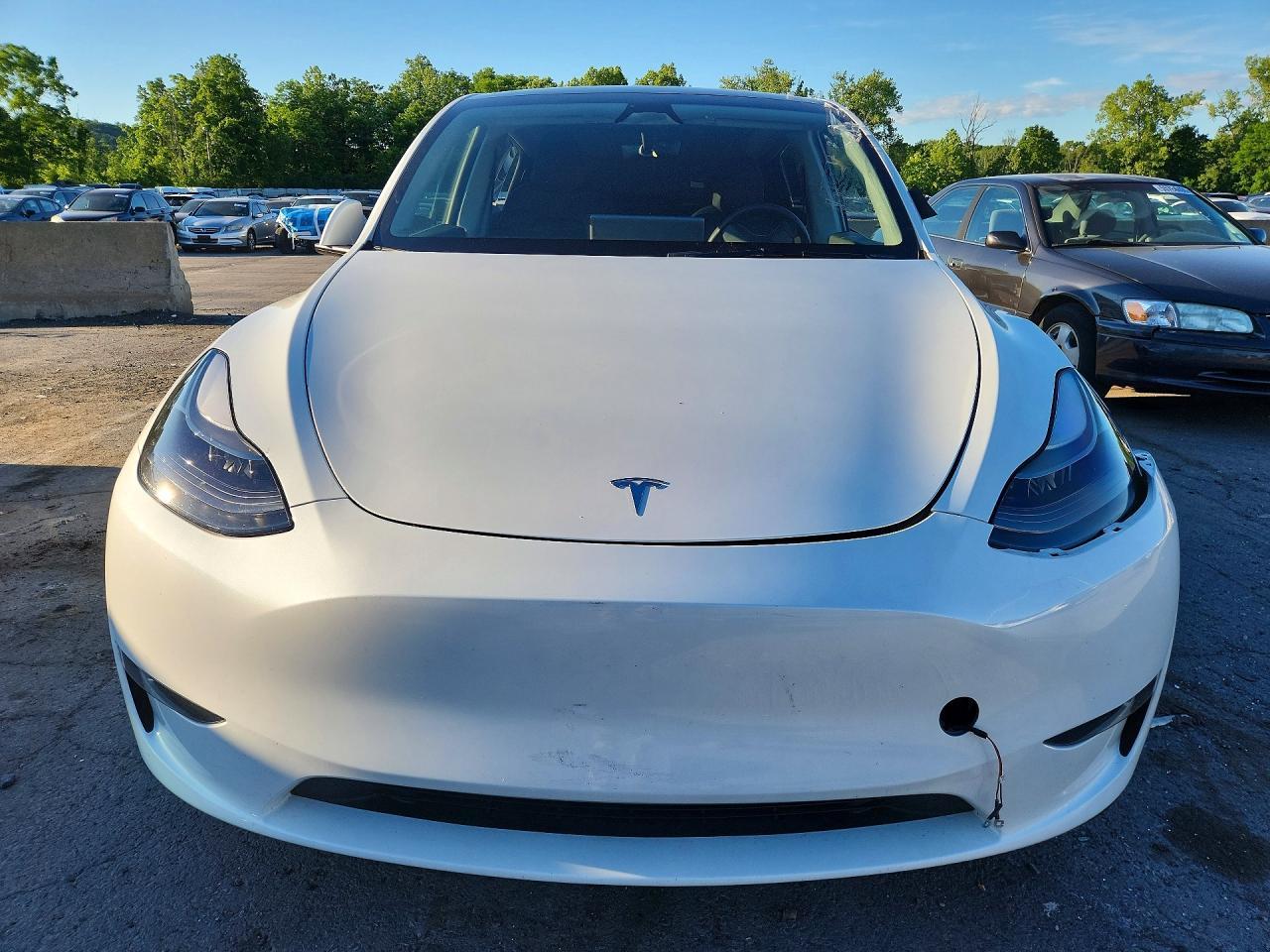 2023 Tesla Model Y - Фото 5