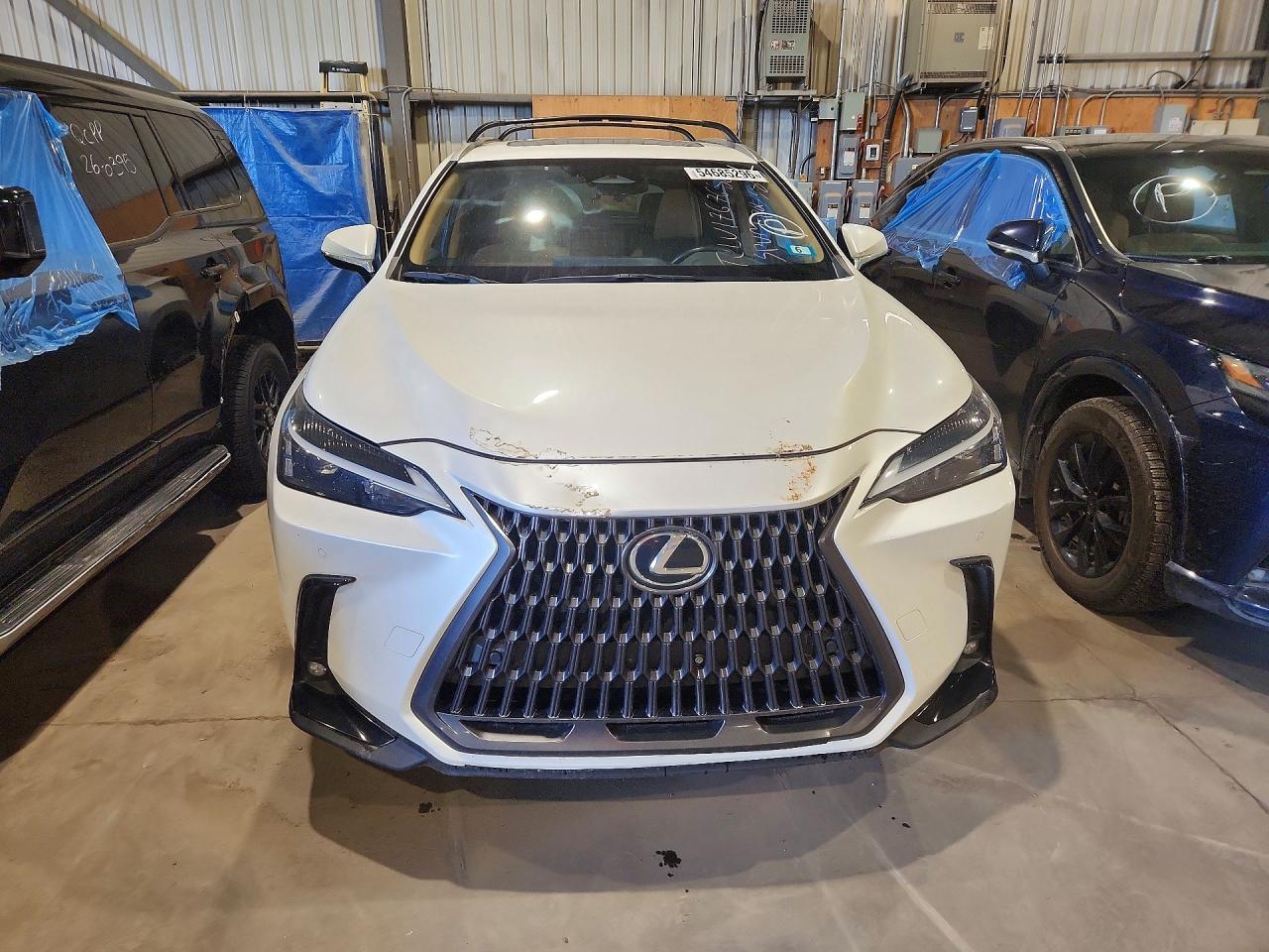 2024 Lexus Nx 350 Premium - Image 5