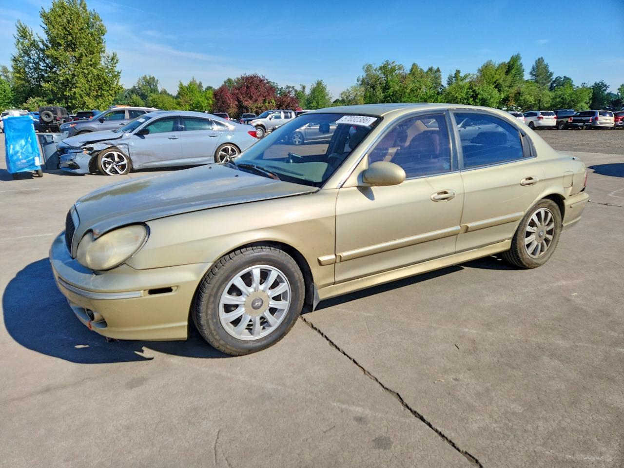 lot