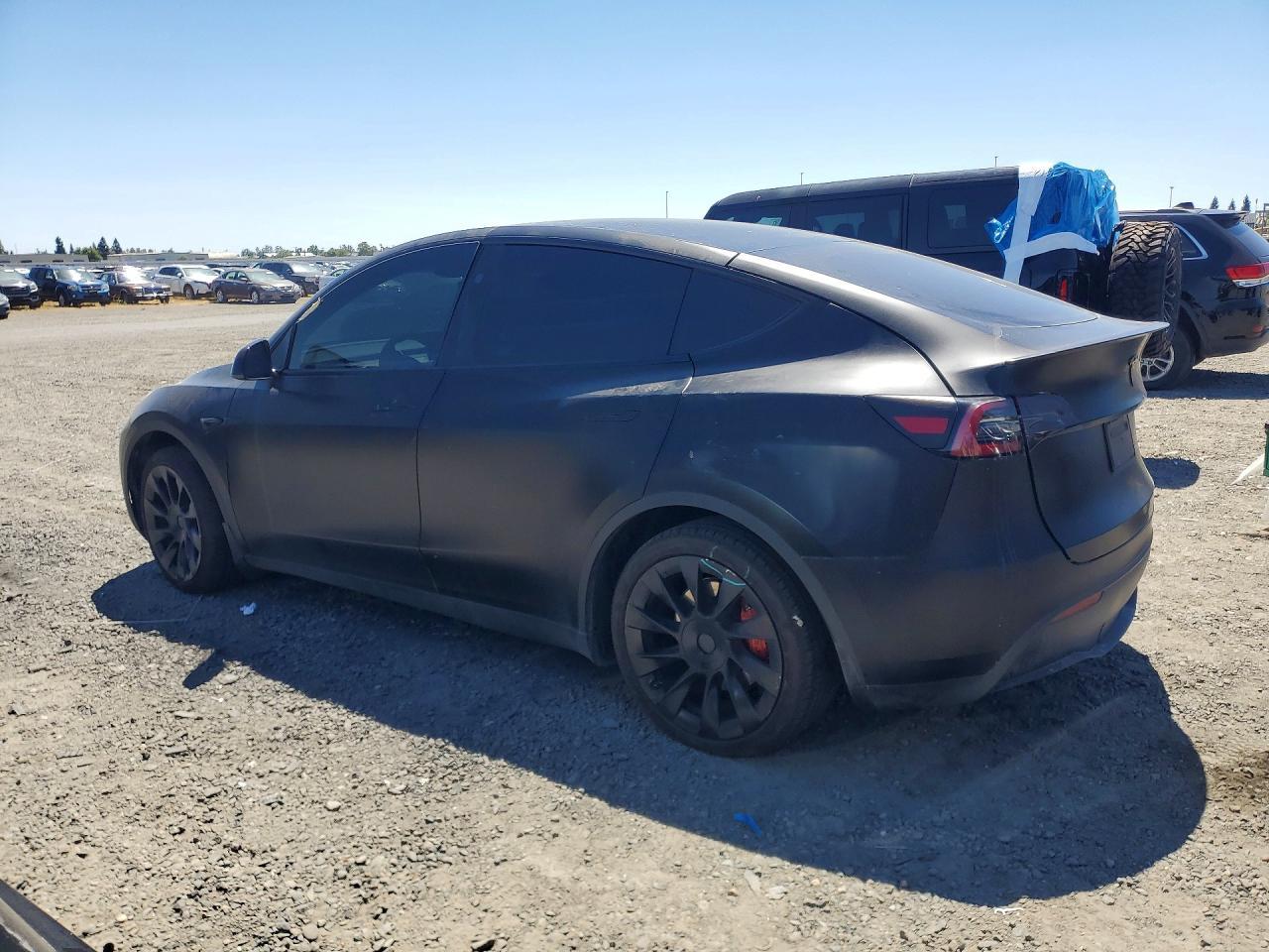 2024 Tesla Model Y - Фото 2