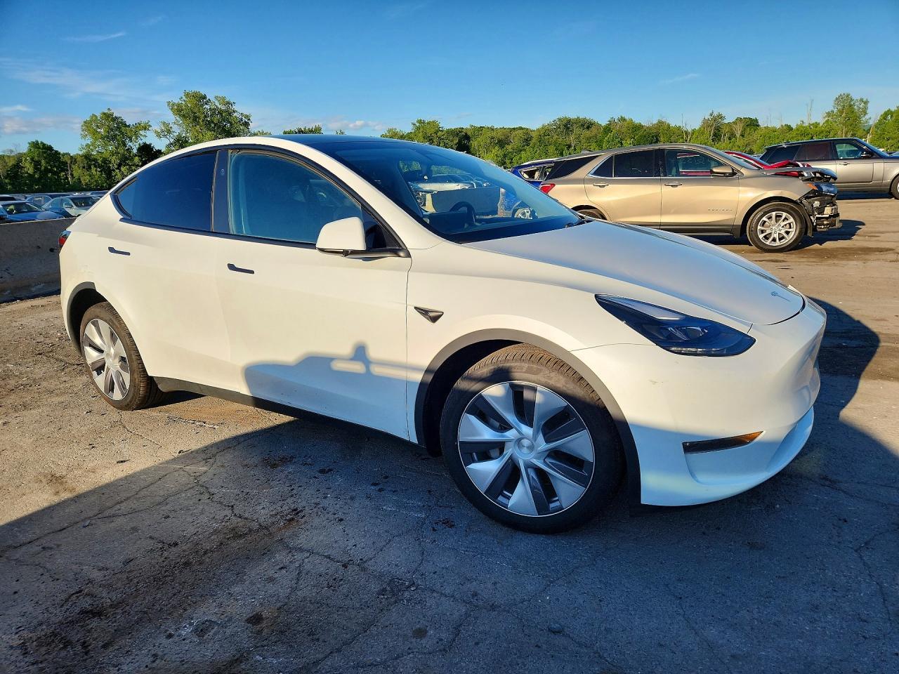 2023 Tesla Model Y - Фото 4