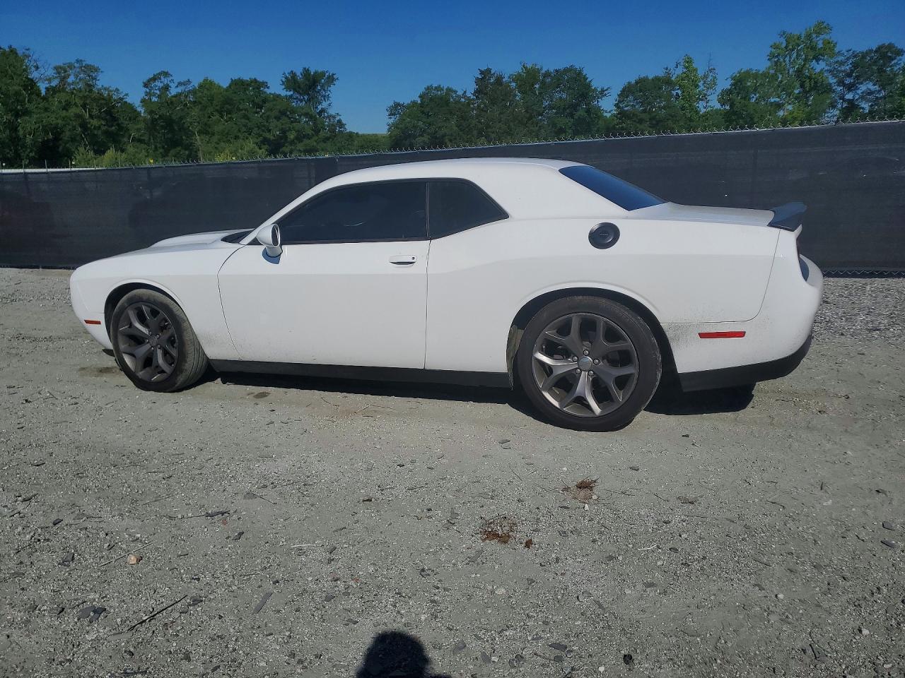 2019 Dodge Challenger R - Image 2