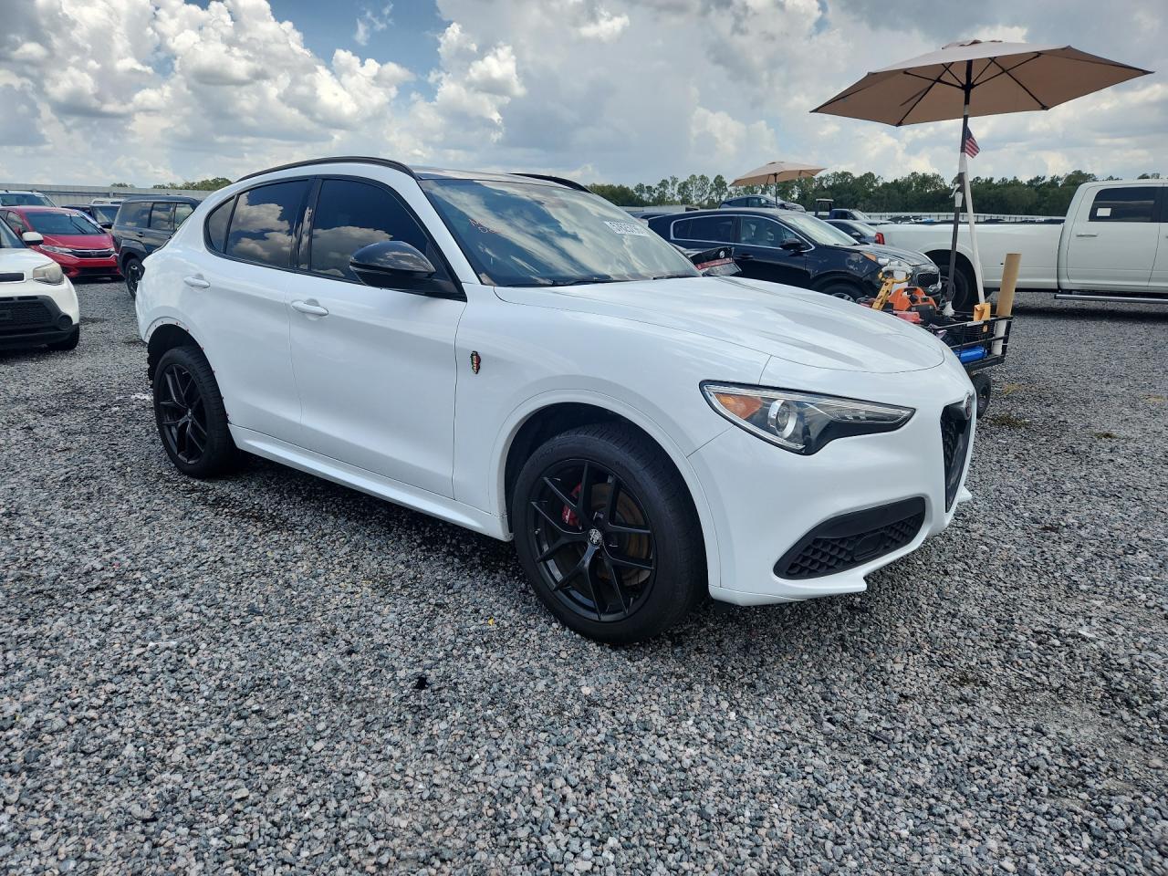 2020 Alfa Romeo Stelvio - Фото 4