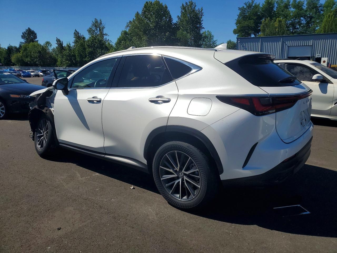 2024 Lexus Nx 350H Premium - Фото 2