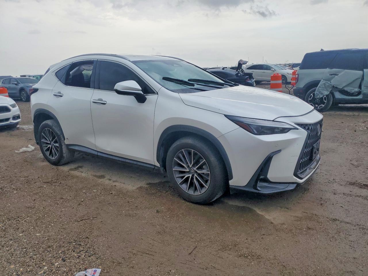 2024 Lexus Nx 250 Premium - Фото 4