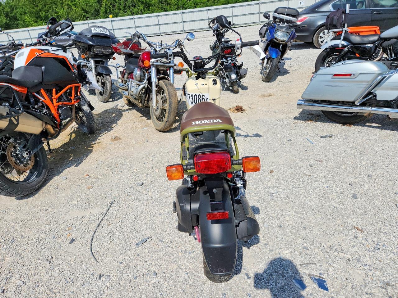 2024 Honda Nps50 - Фото 4