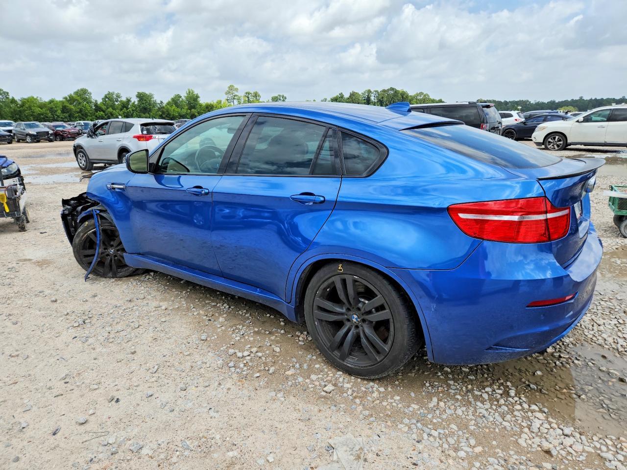 2011 BMW X6 M - Фото 2