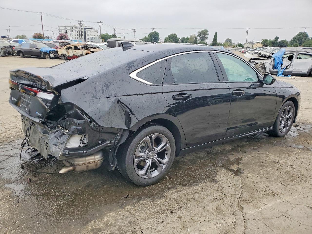 2024 Honda Accord Hybrid Exl - Image 3