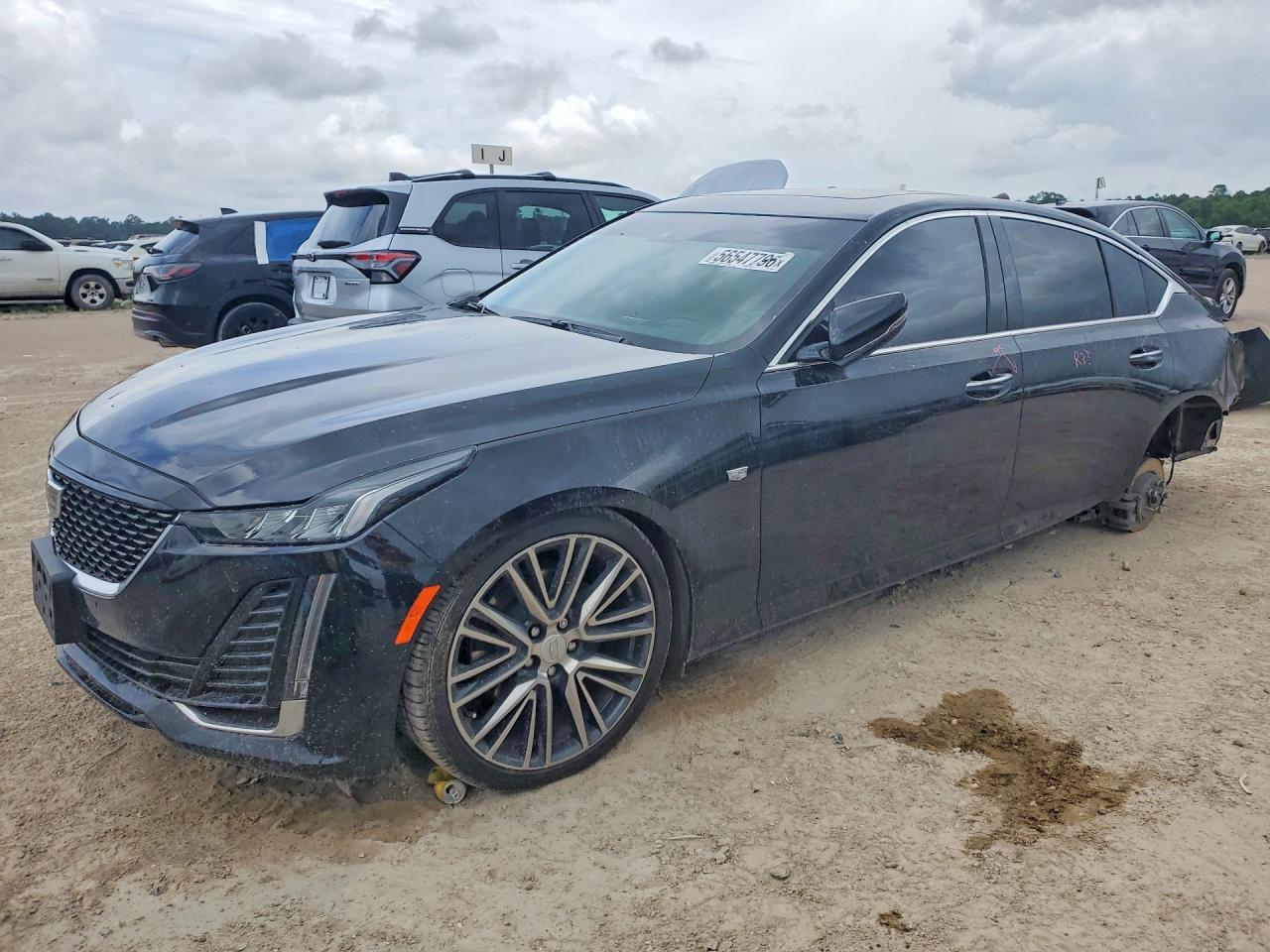 2023 Cadillac Ct5 Premium Luxury