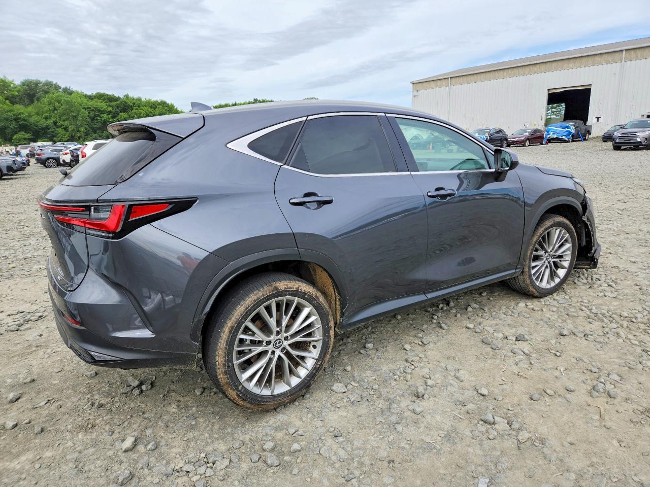 2025 Lexus Nx350 - Image 3