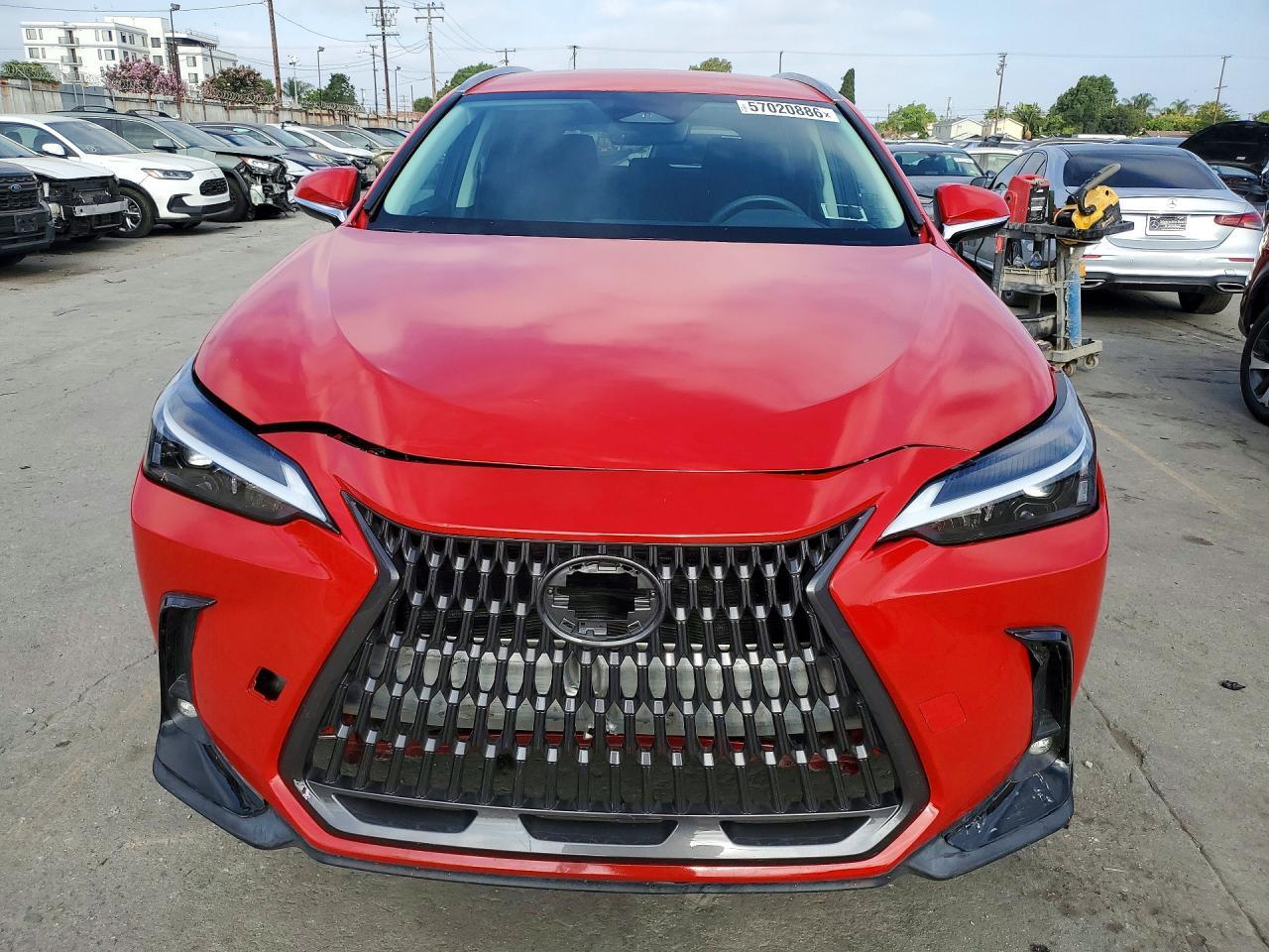 2022 Lexus Nx 250 - Фото 5