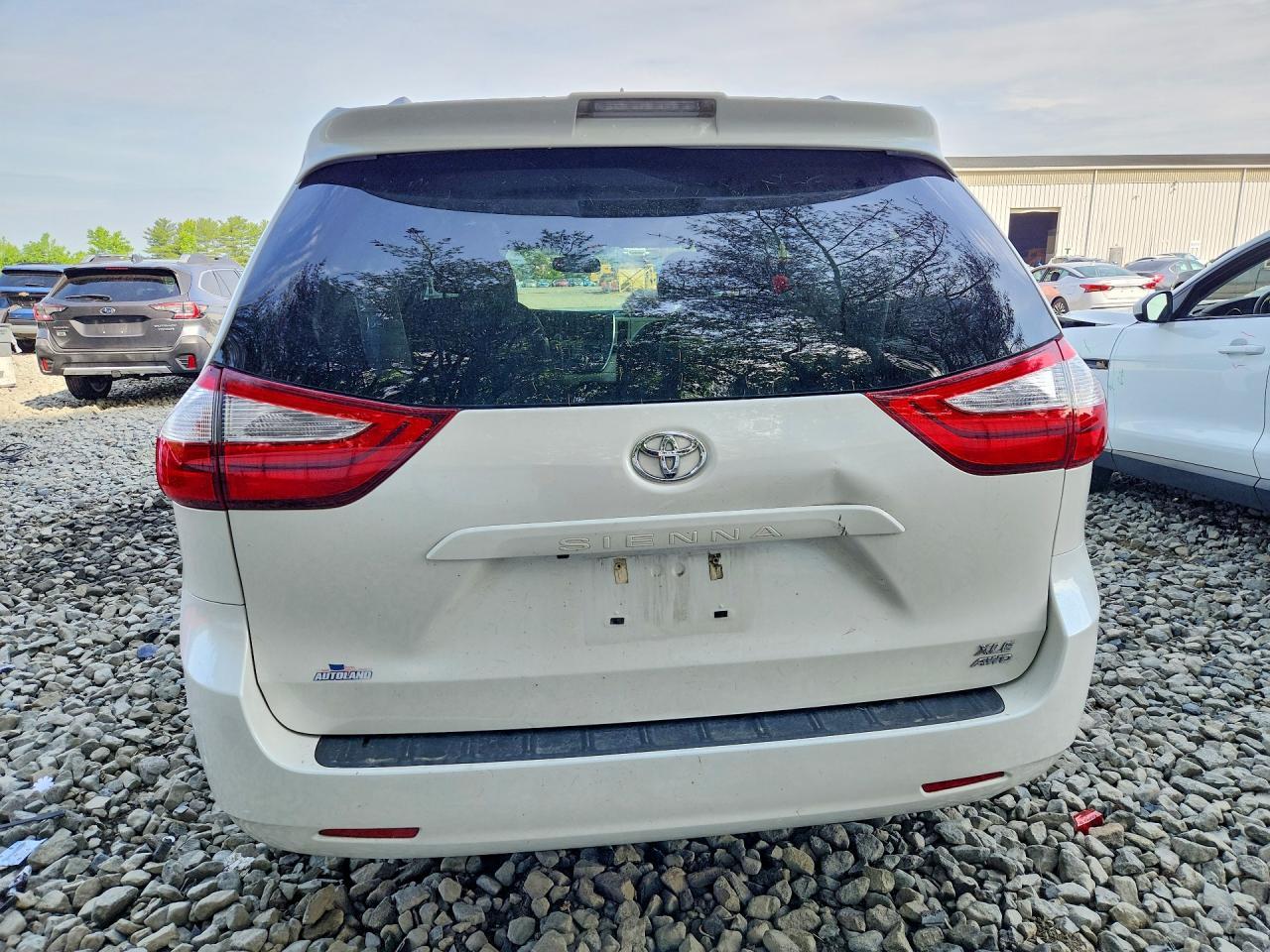 2019 Toyota Sienna Xle 7-Passenger - Фото 6