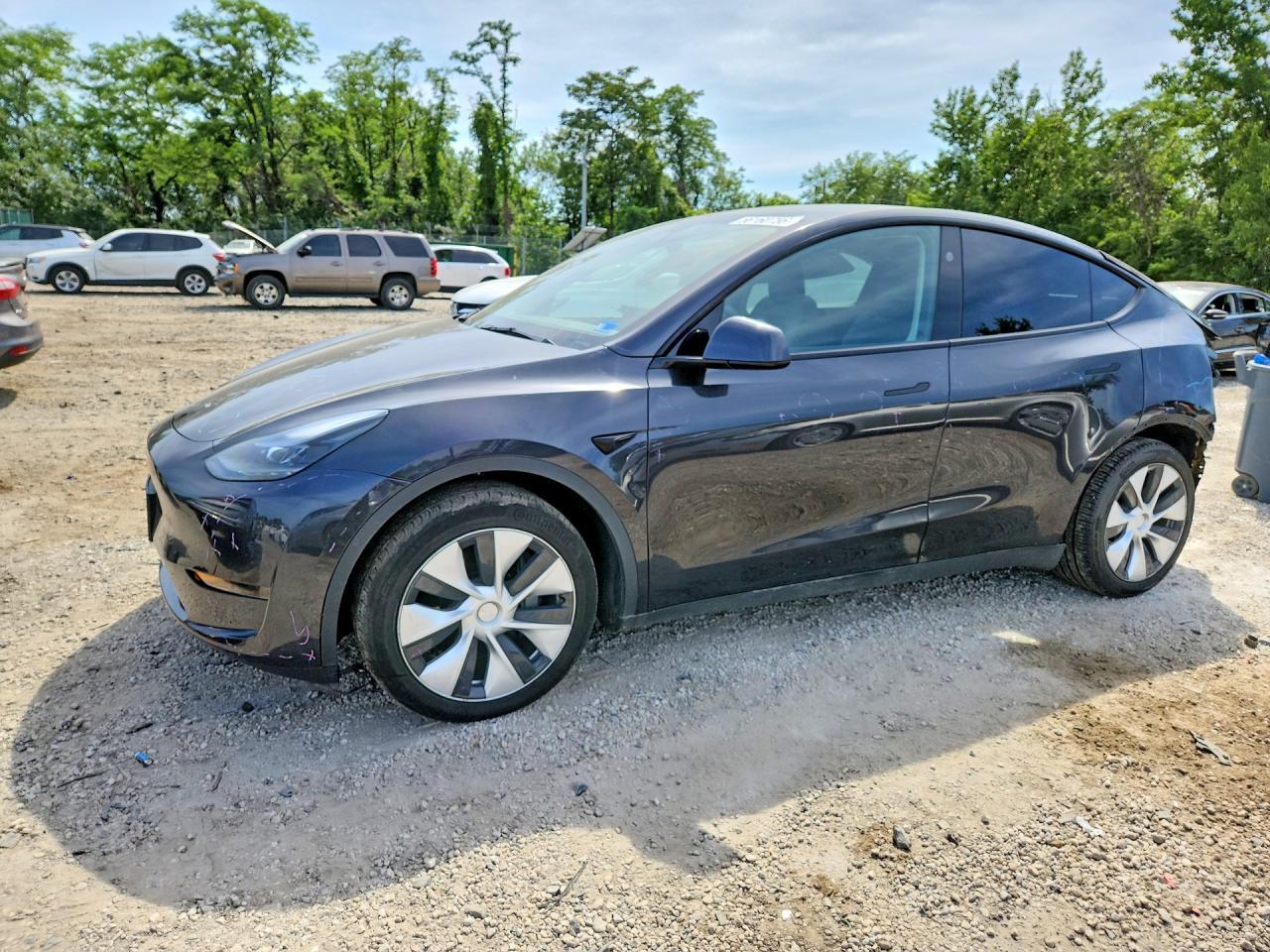 2024 Tesla Model Y