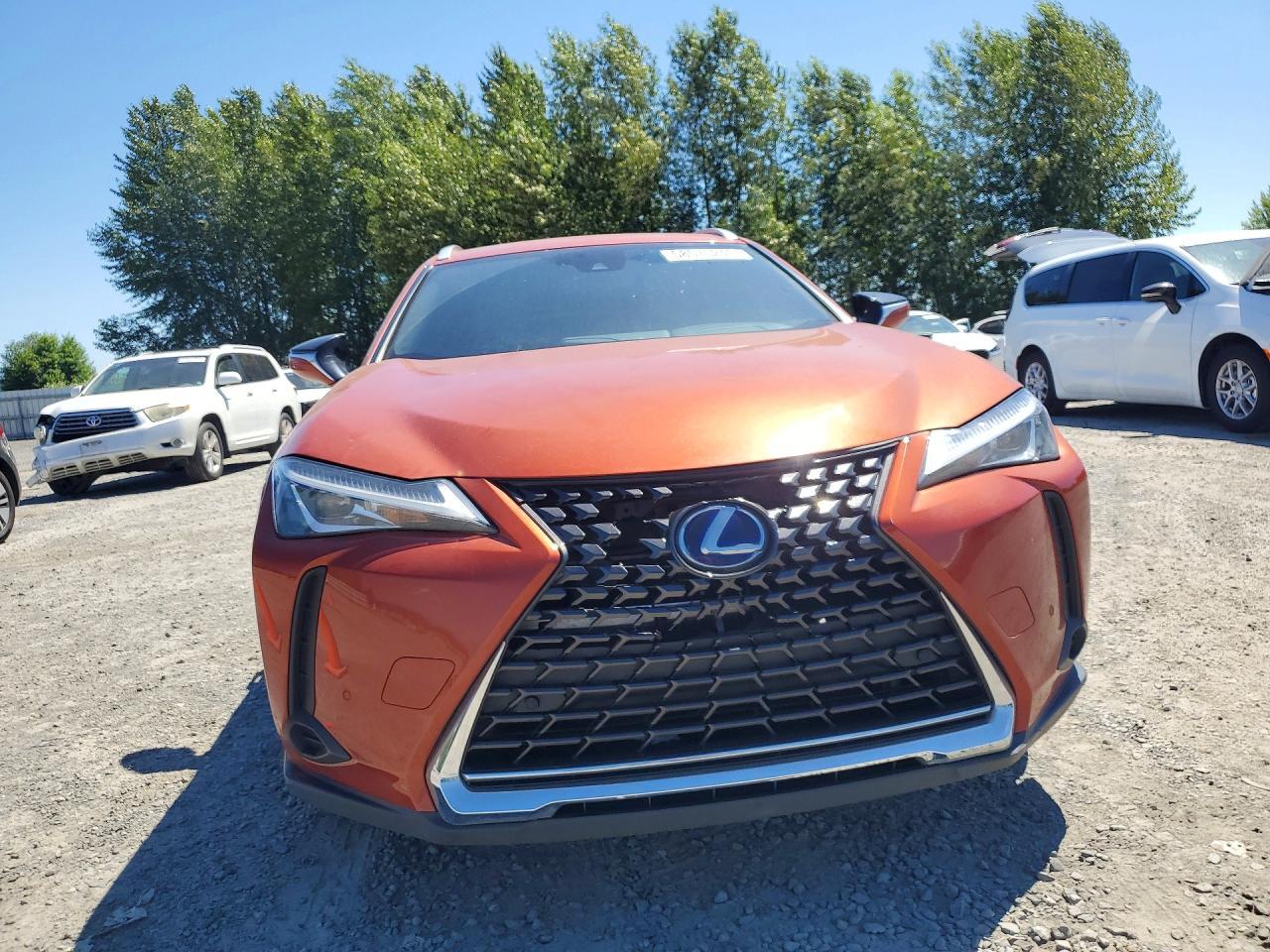 2020 Lexus Ux 250H - Фото 5