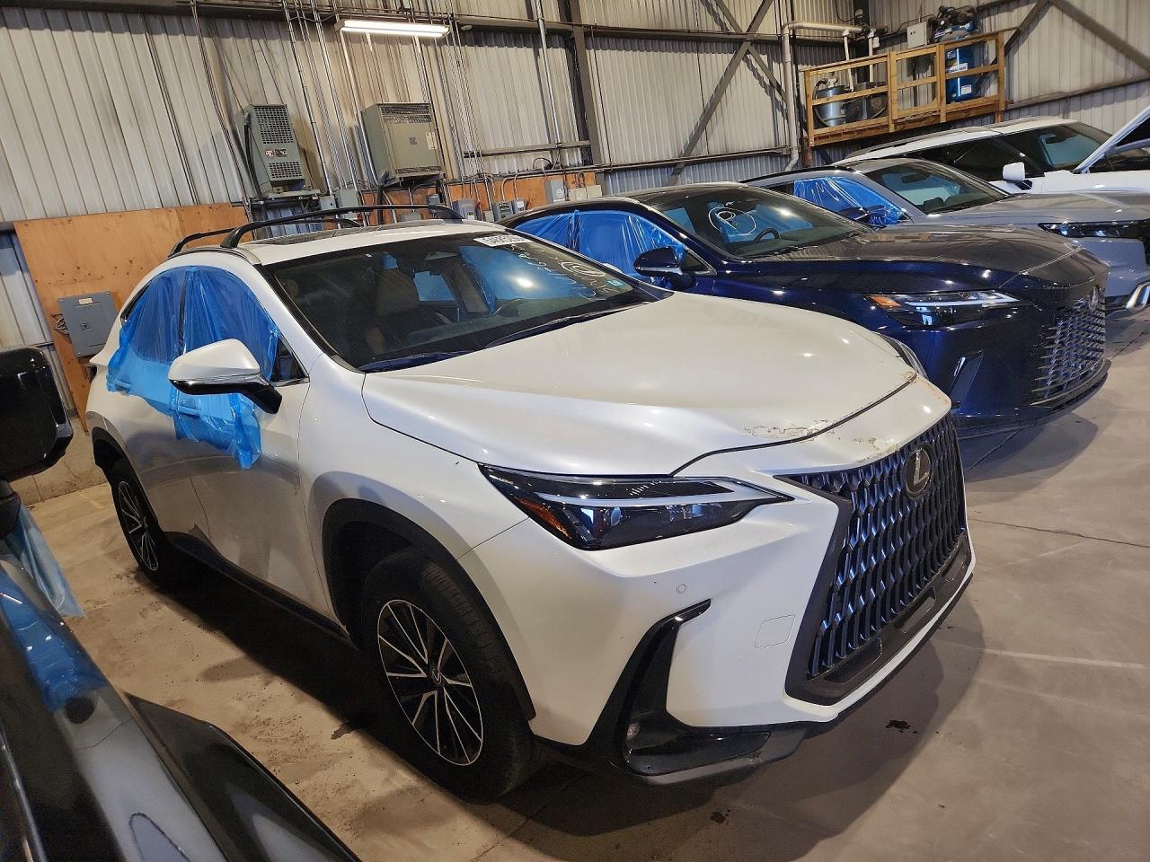 2024 Lexus Nx 350 Premium - Image 4
