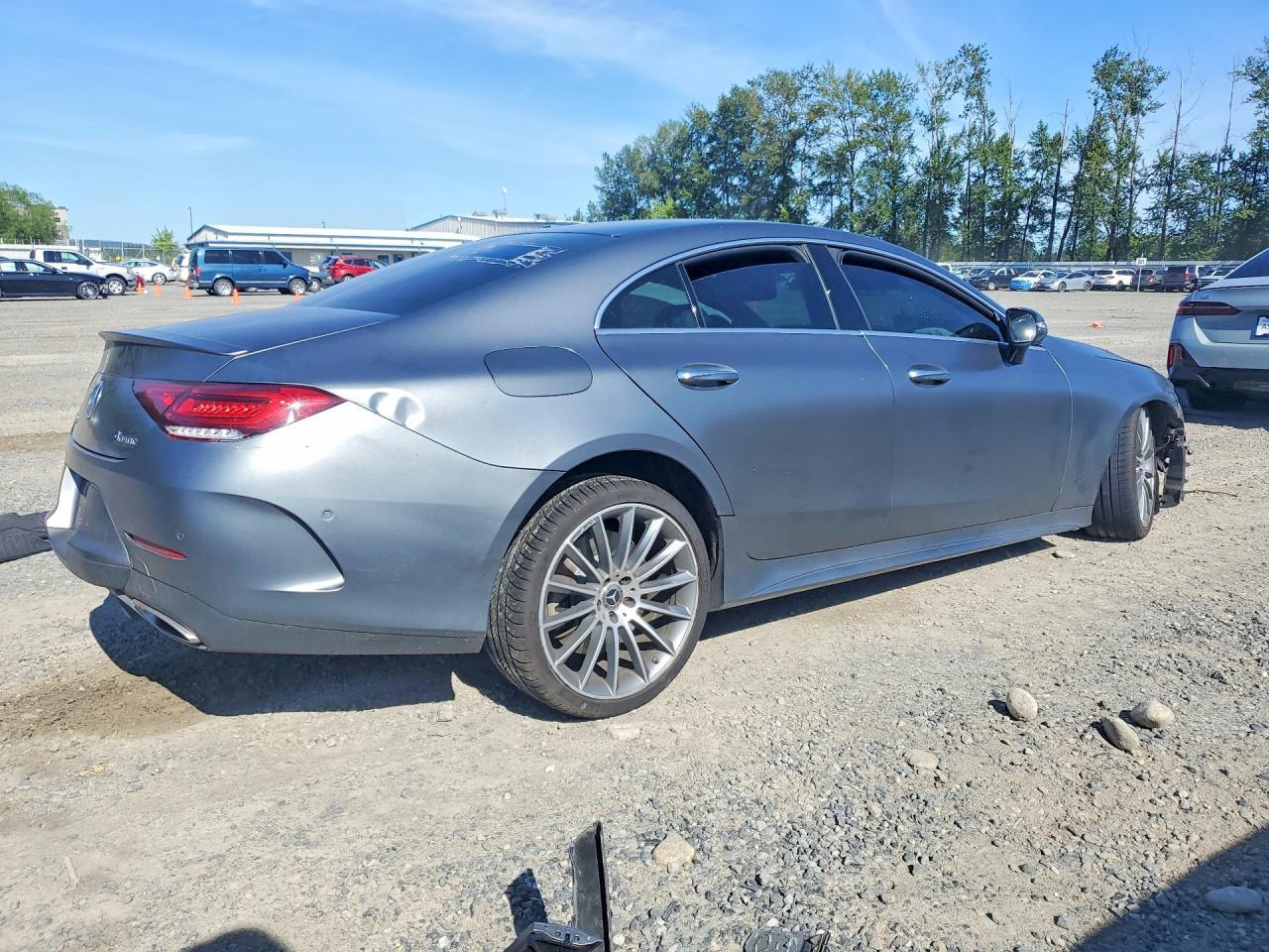 2019 Mercedes-Benz Cls 450 4Matic - Фото 3
