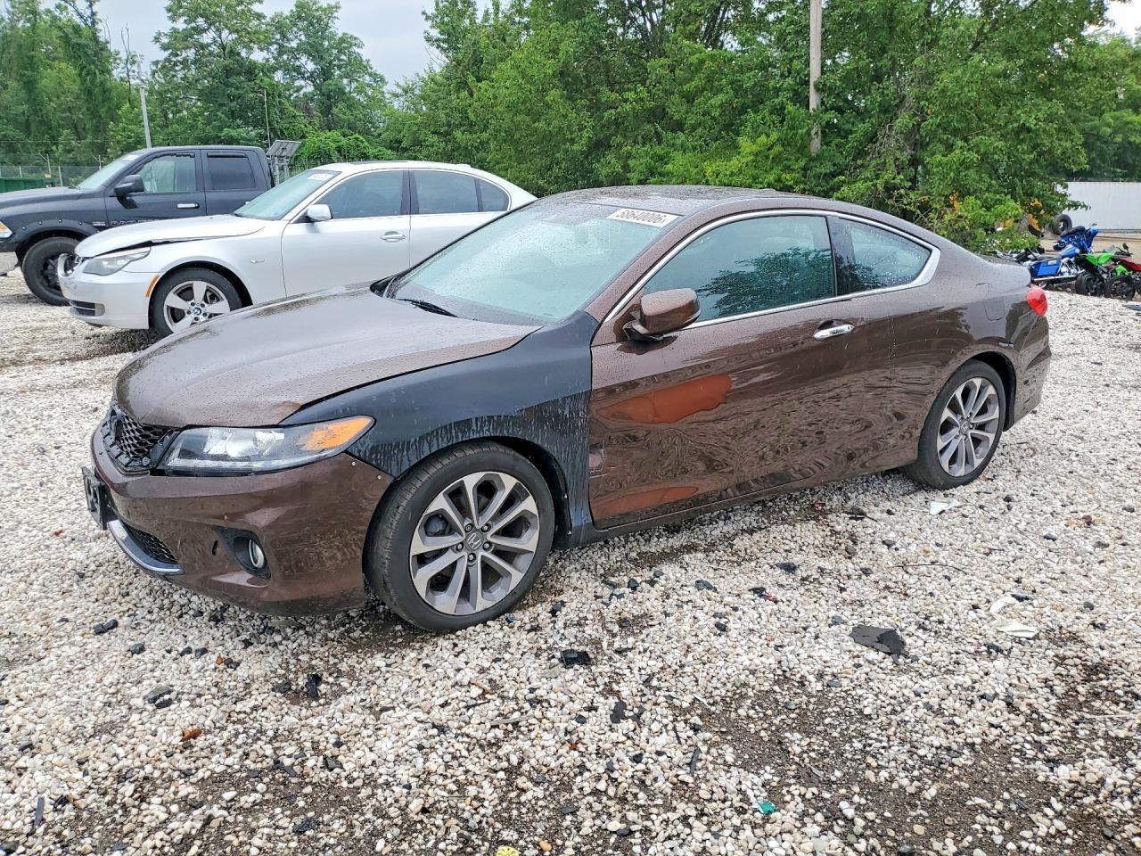 2013 Honda Accord Exl