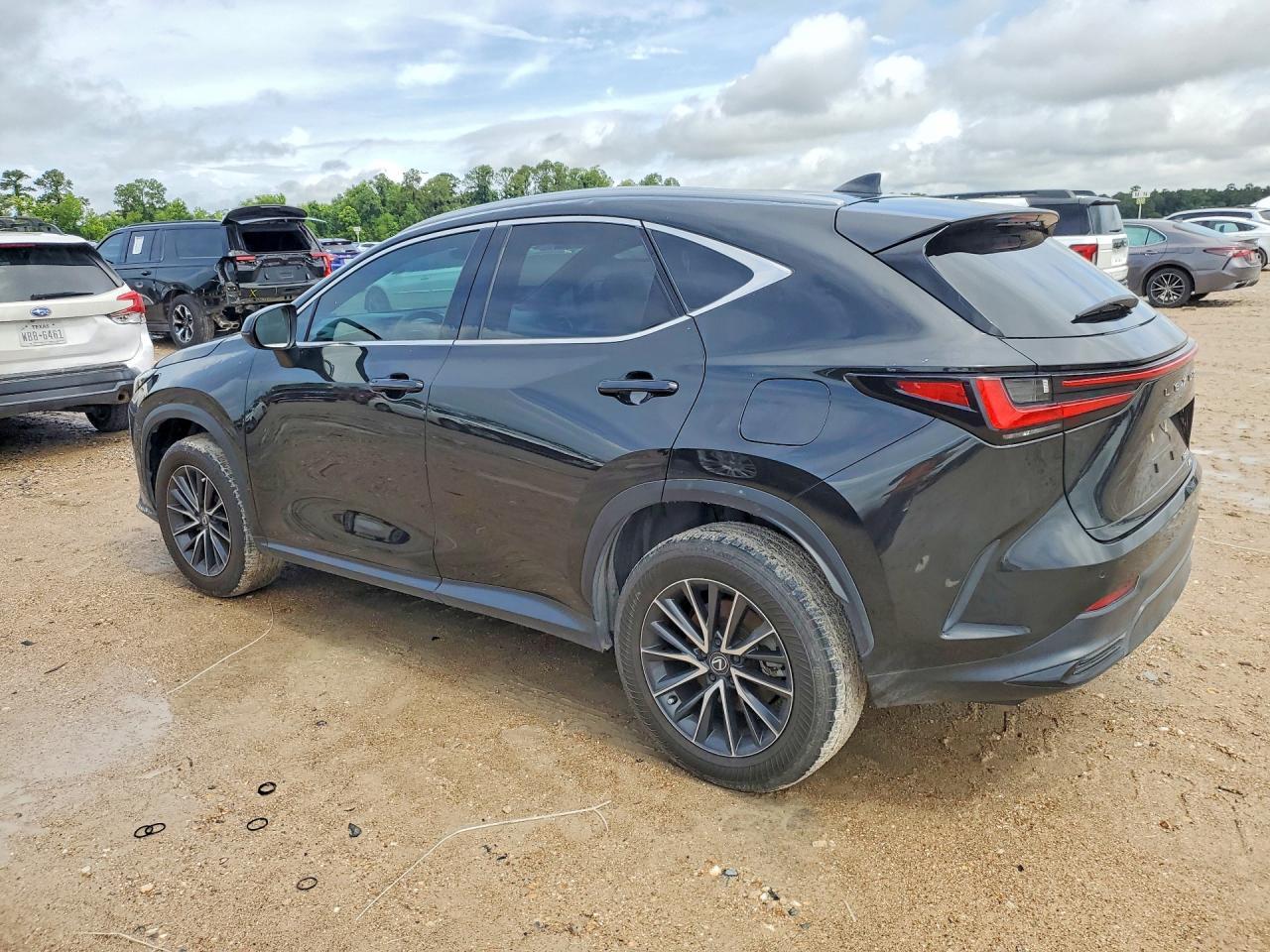 2024 Lexus Nx - Image 2