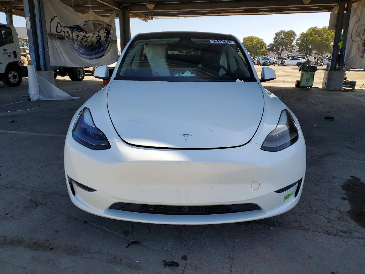 2023 Tesla Model Y - Фото 5